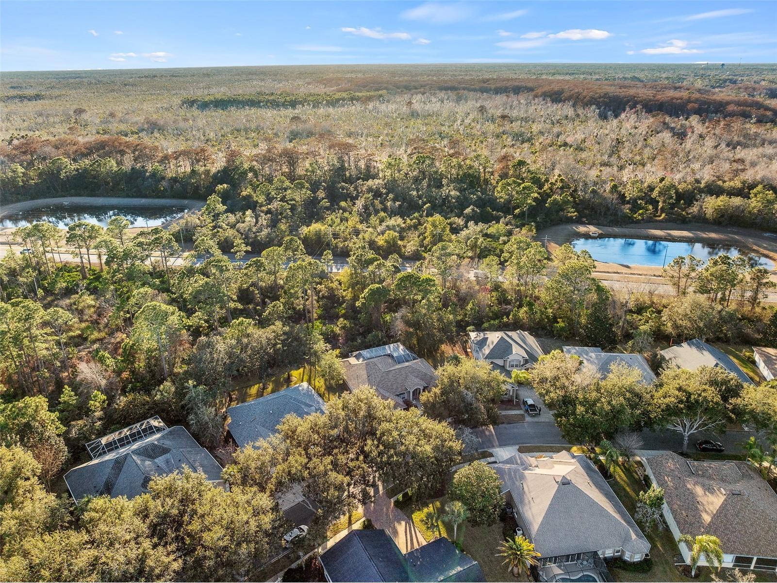 6 Ibis Court N Palm Coast FL 32137 FC315706 image44