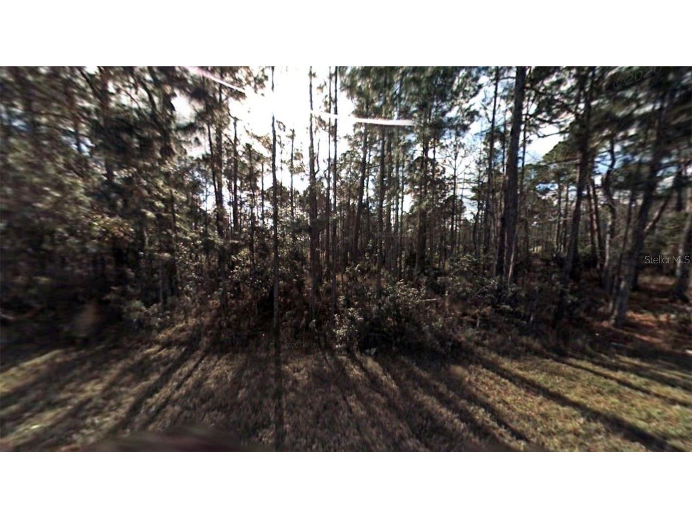 6 Lleberry Path Palm Coast FL 32164 T3459557 image1