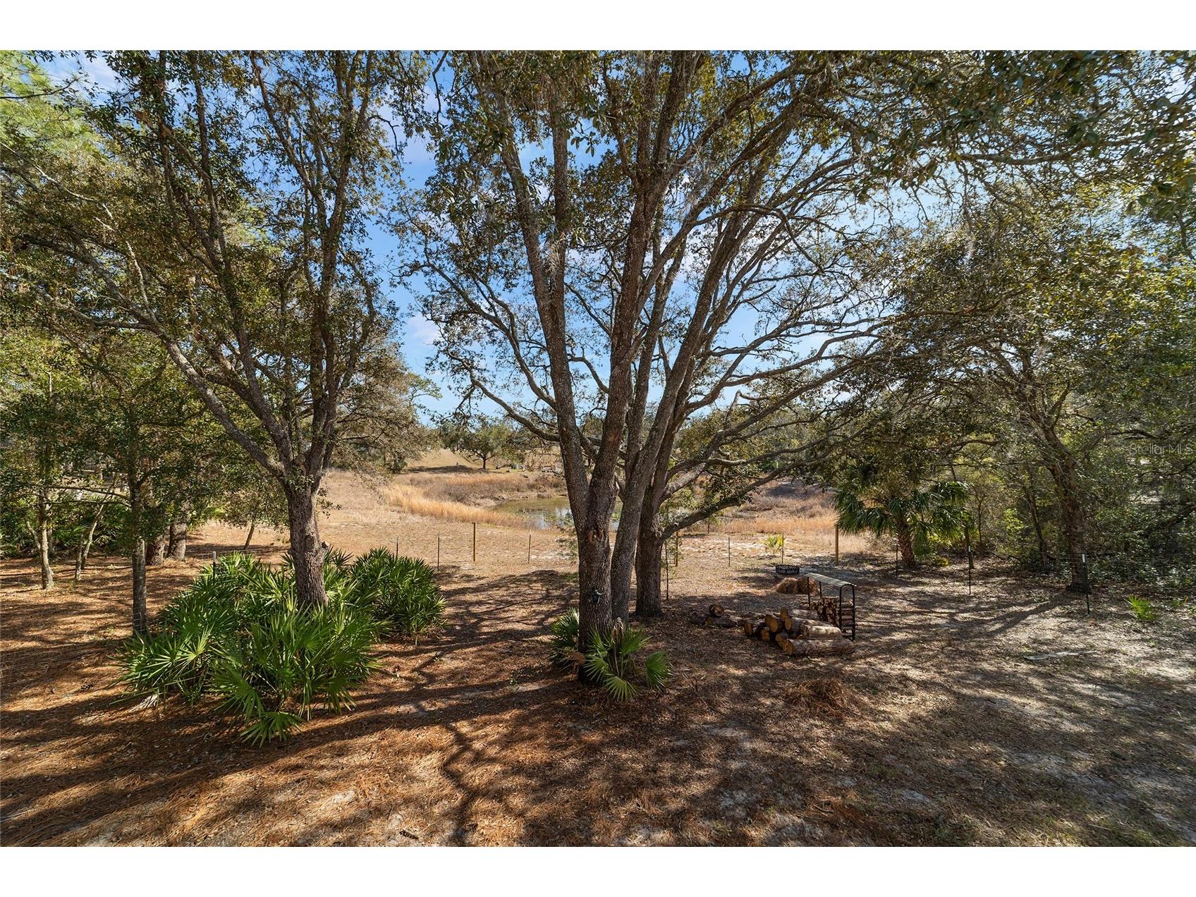 6 Malauka Circle Ocklawaha FL 32179 OM717263 image38