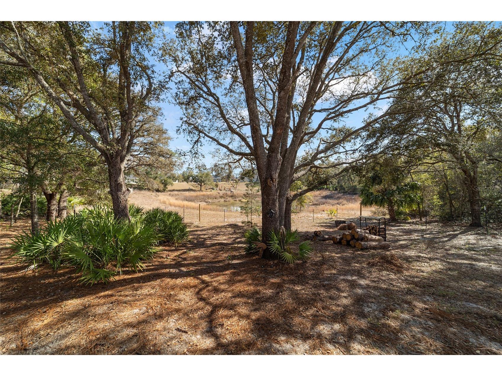 6 Malauka Circle Ocklawaha FL 32179 OM717263 image39