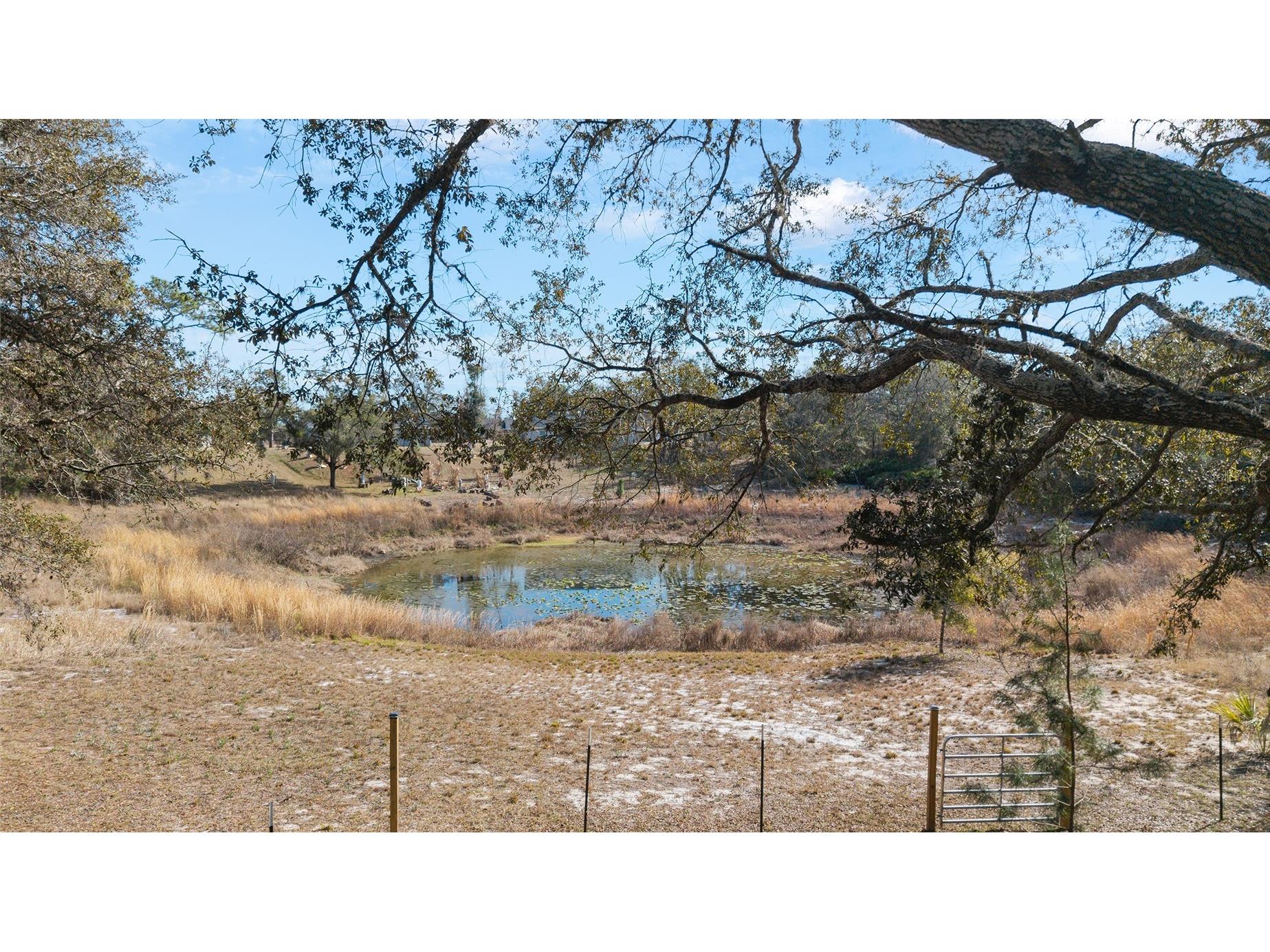 6 Malauka Circle Ocklawaha FL 32179 OM717263 image40