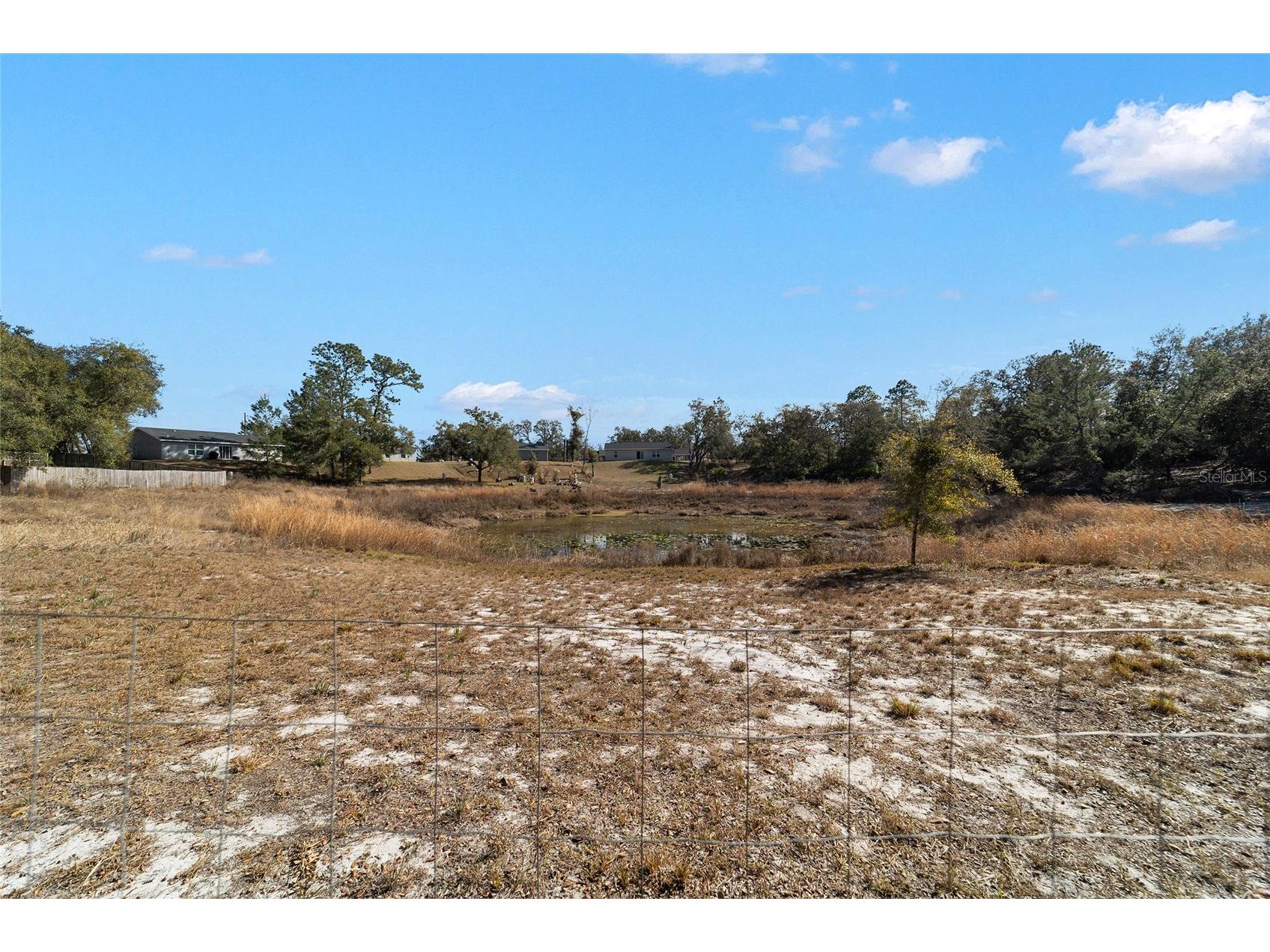 6 Malauka Circle Ocklawaha FL 32179 OM717263 image41