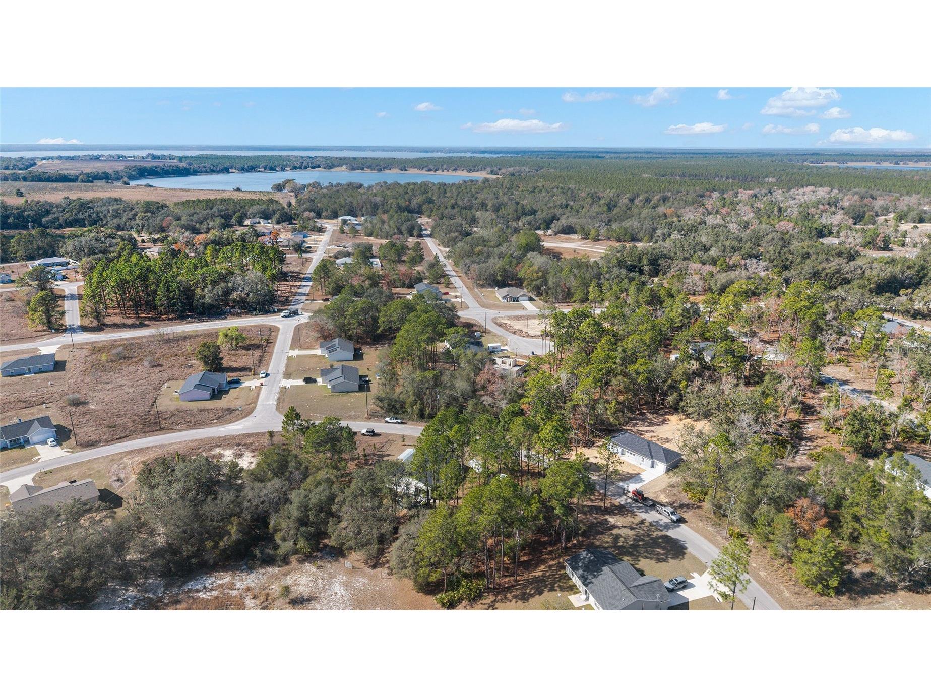 6 Malauka Circle Ocklawaha FL 32179 OM717263 image47