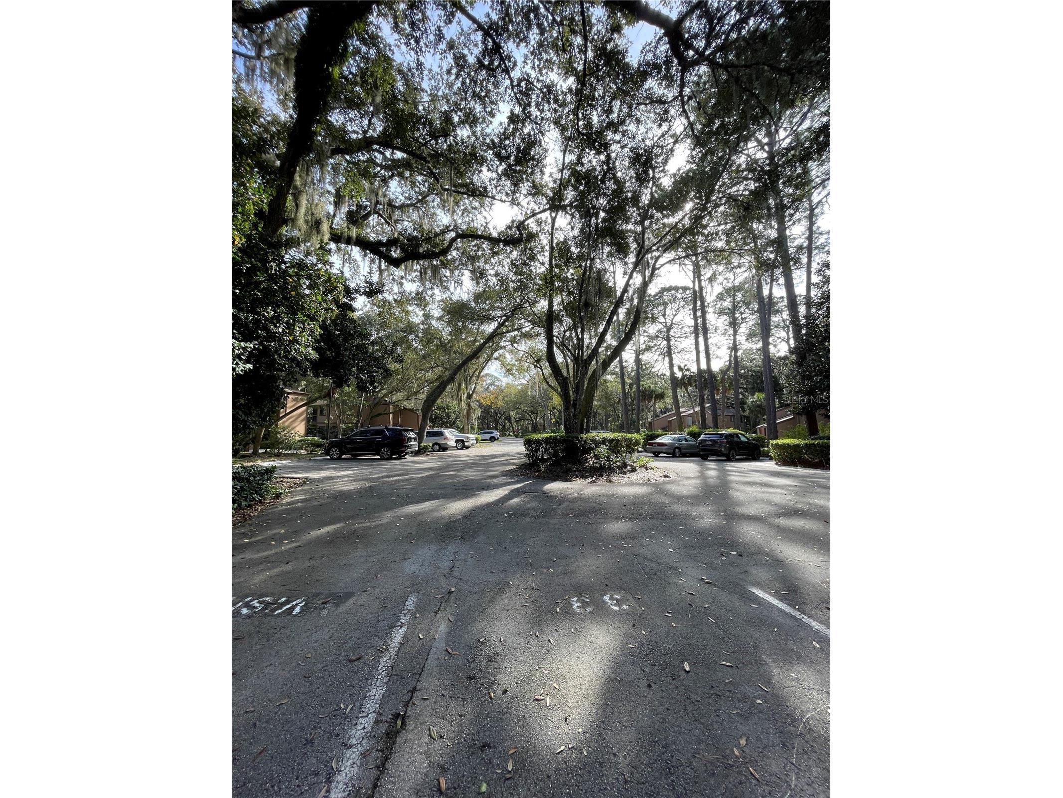 6 Masters Court #6 Palm Coast FL 32137 FC311616 image22