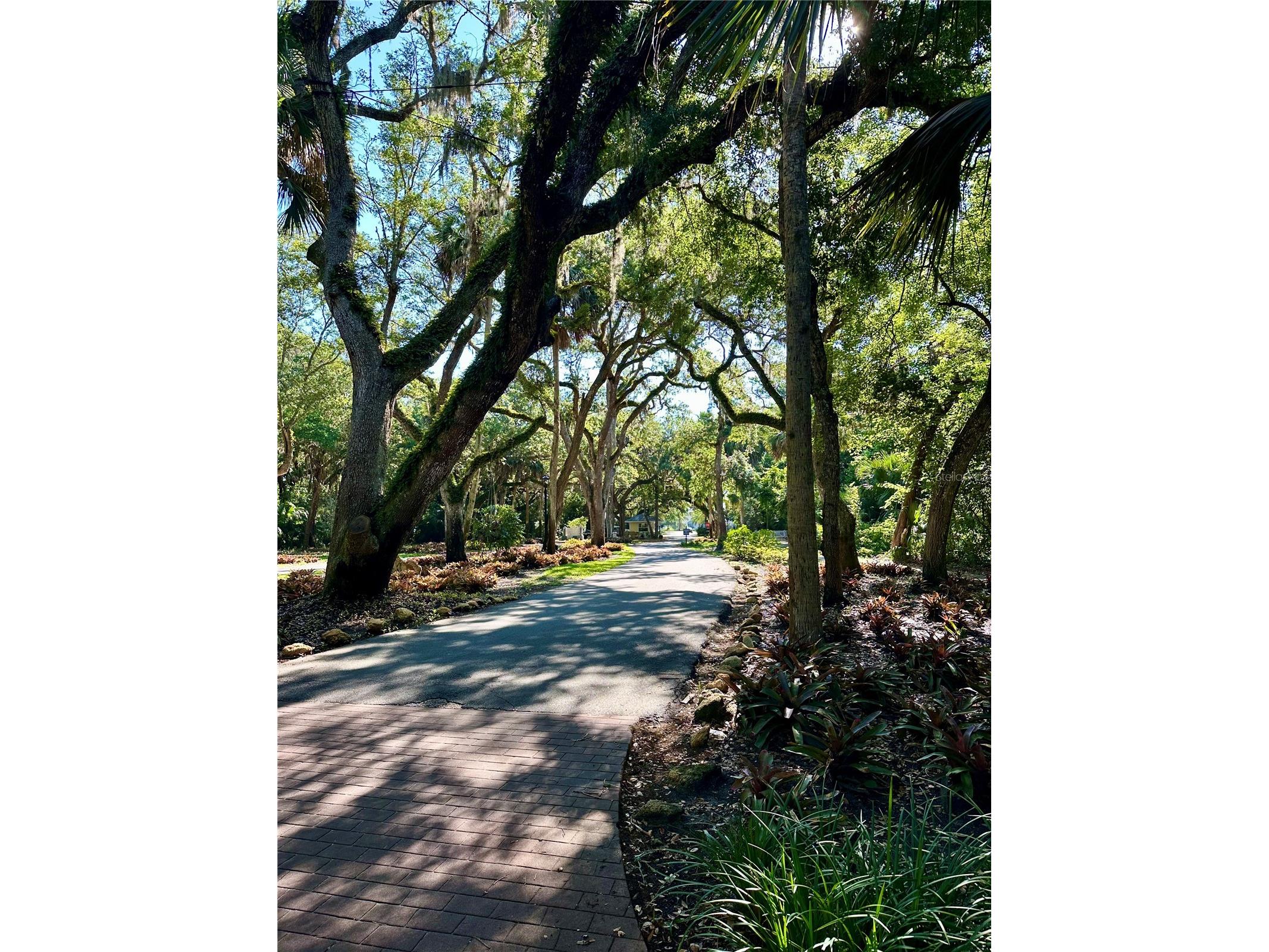 6 Nantucket Drive Palm Coast FL 32137 FC318266 image30