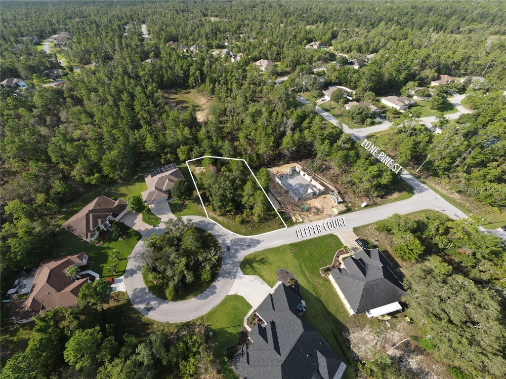6 Pepper Court Homosassa FL 34446 T3461063 image1