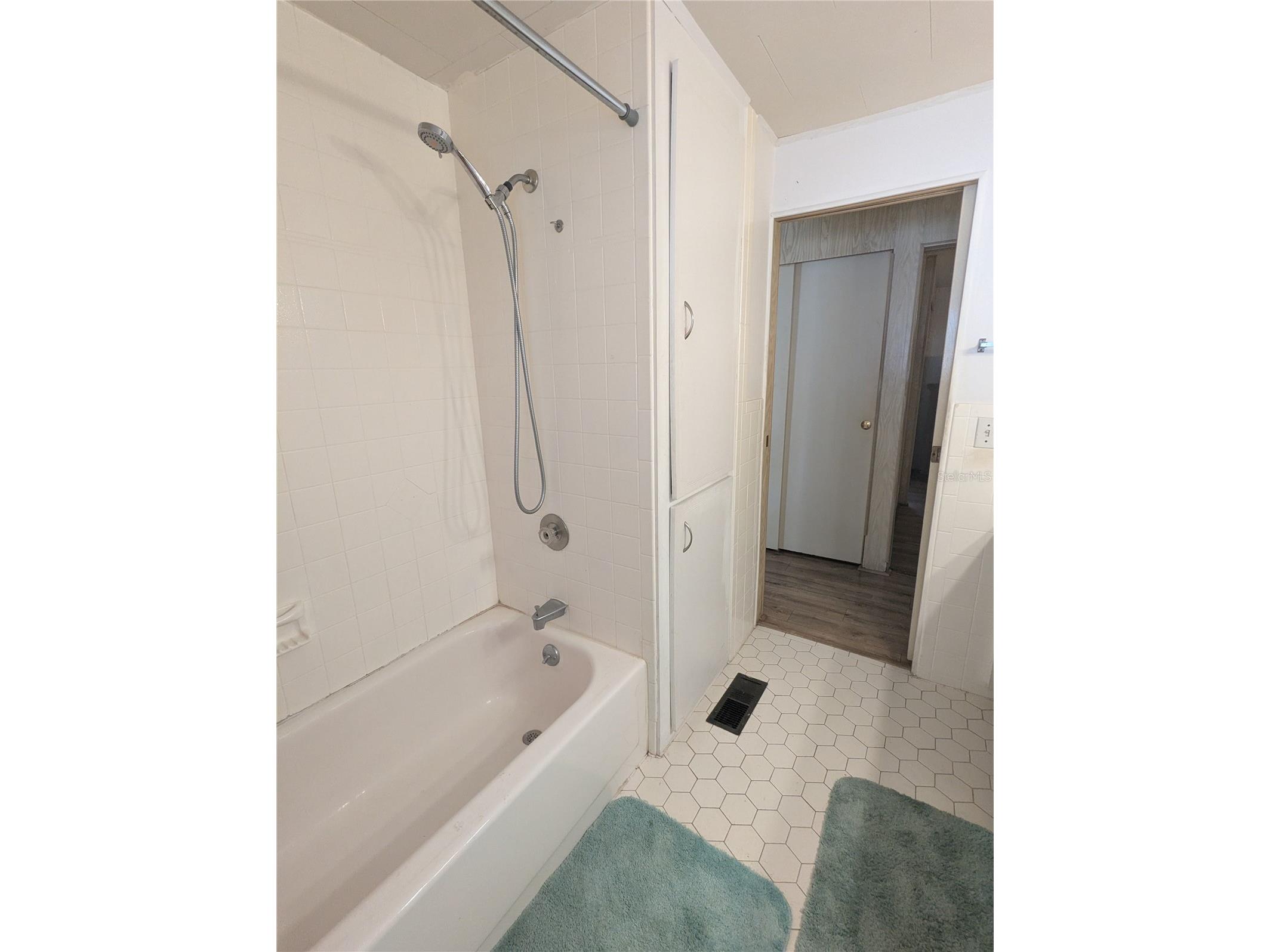 6 Pine Lane Haines City FL 33844 L4961517 image11