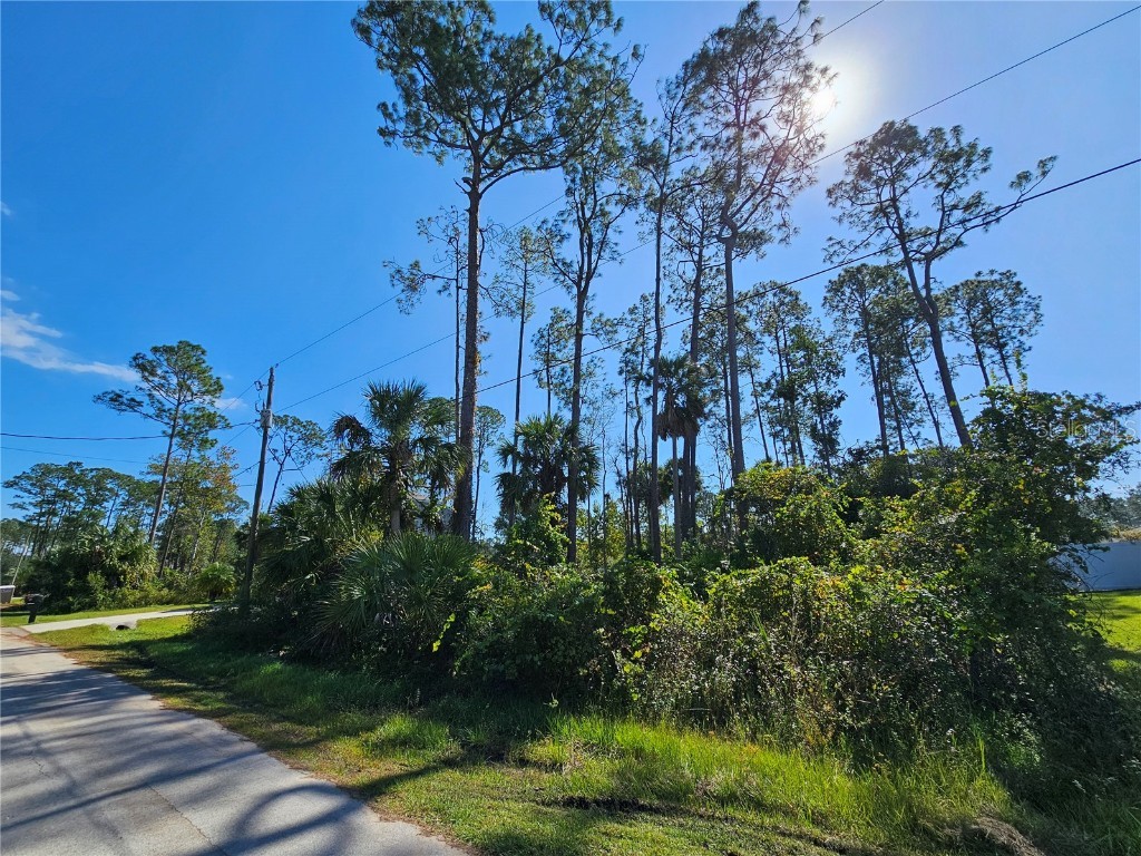 6 Poindexter Lane Palm Coast FL 32164 FC313874 image2