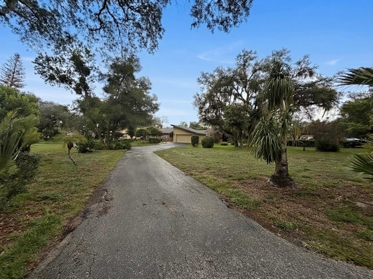 6 Robyn Lane Haines City FL 33844 O6418151 image23