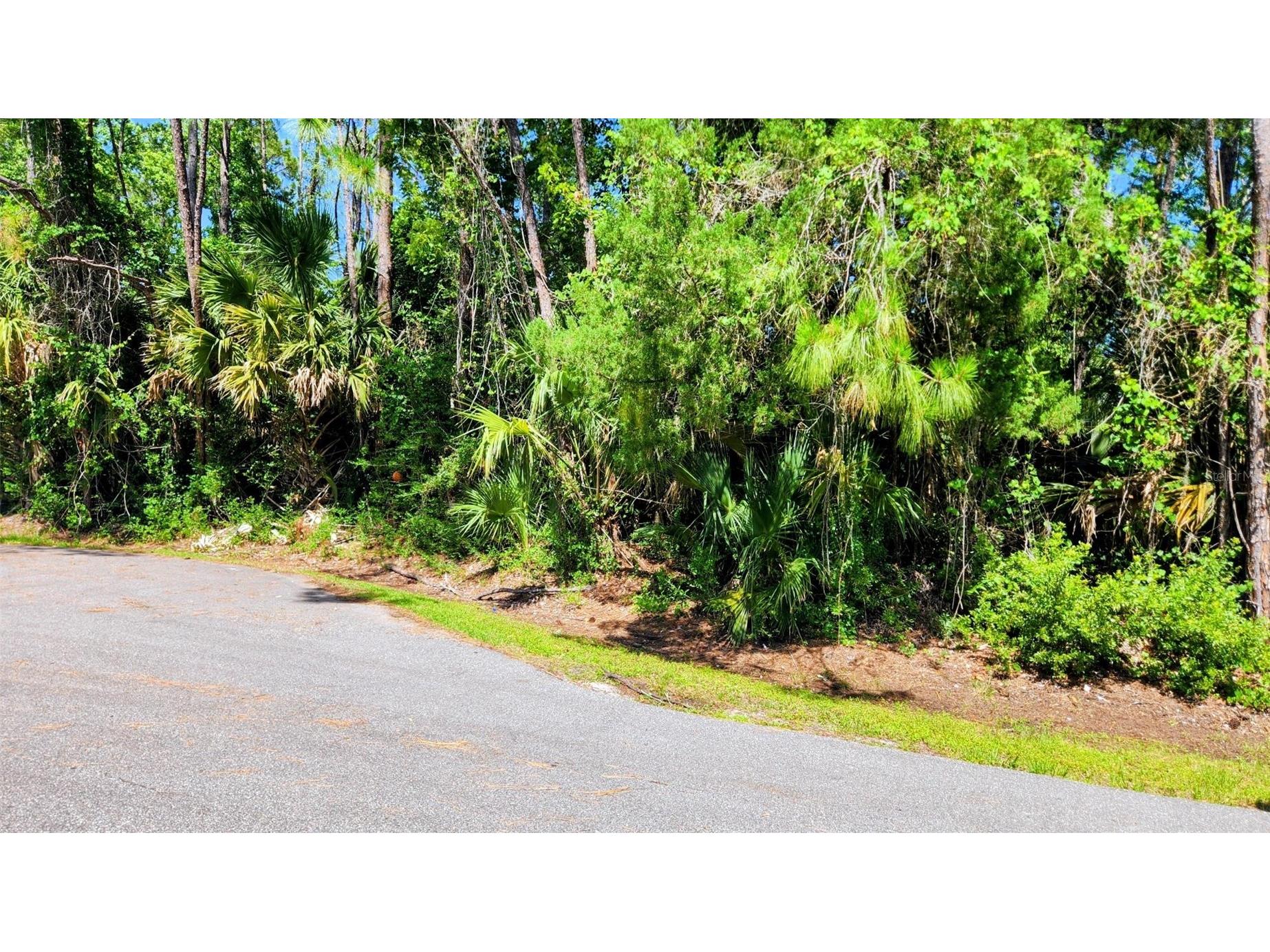 6 Rybar Place Palm Coast FL 32164 FC318786 image1
