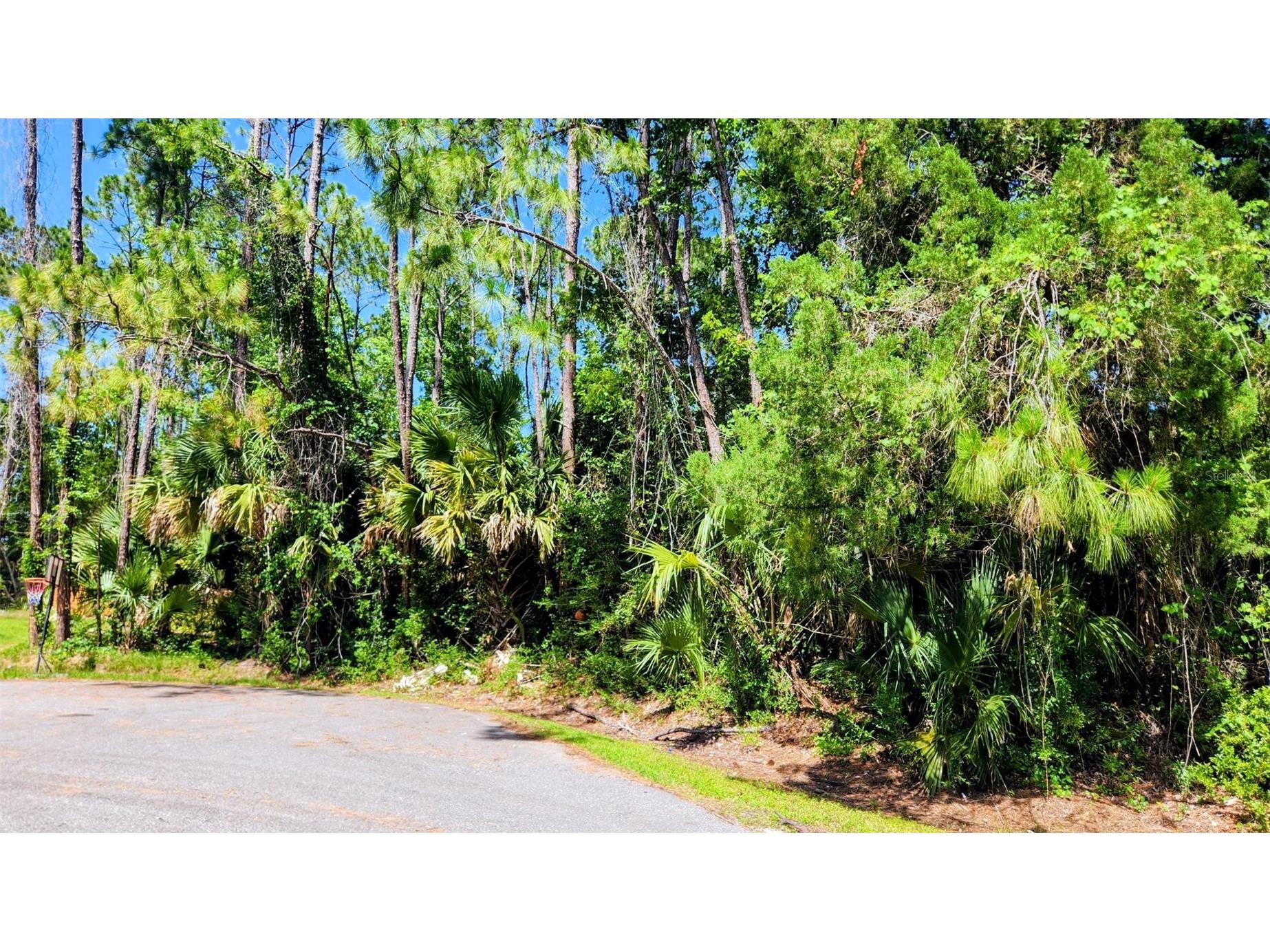 6 Rybar Place Palm Coast FL 32164 FC318786 image2
