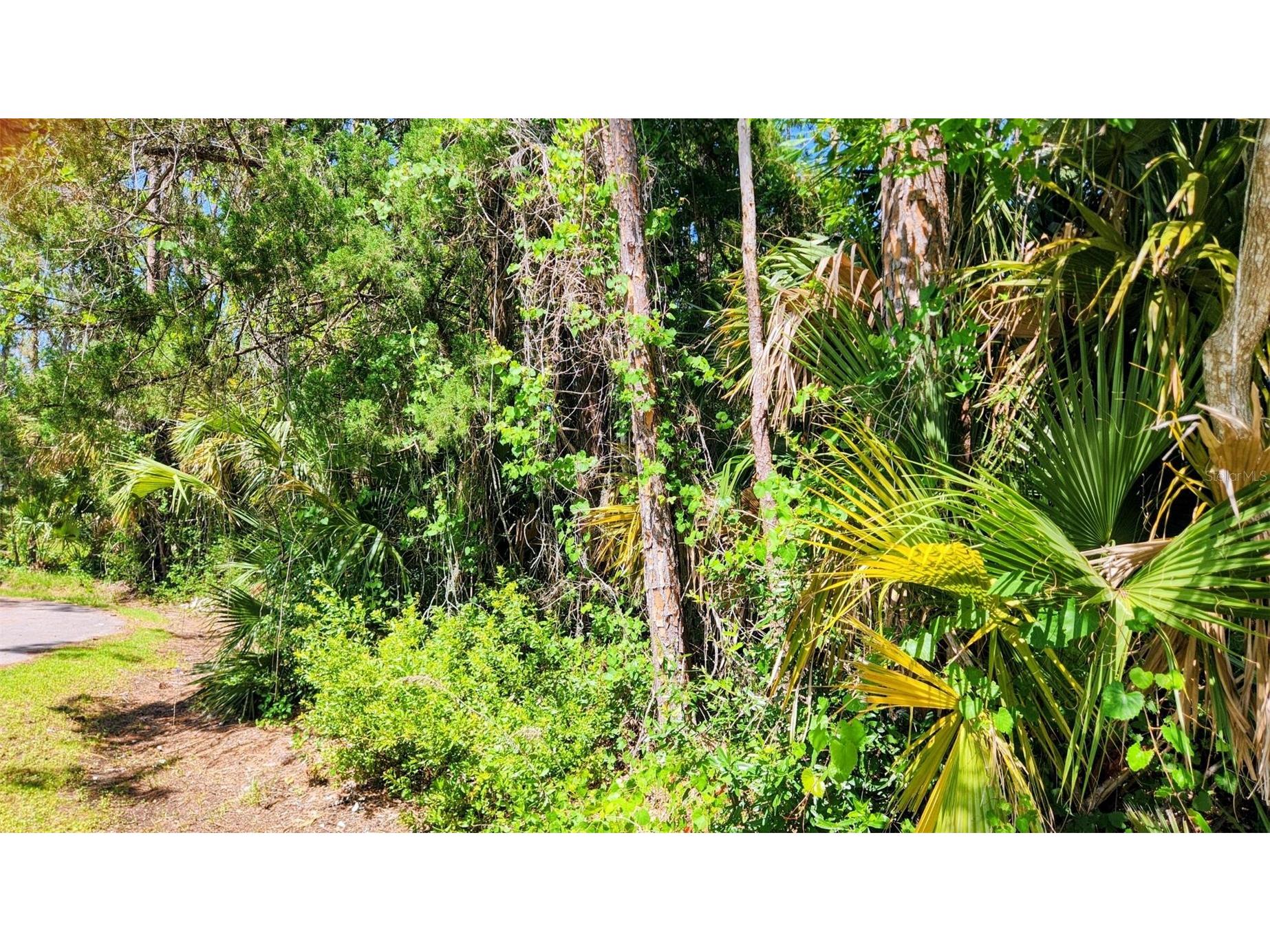 6 Rybar Place Palm Coast FL 32164 FC318786 image4