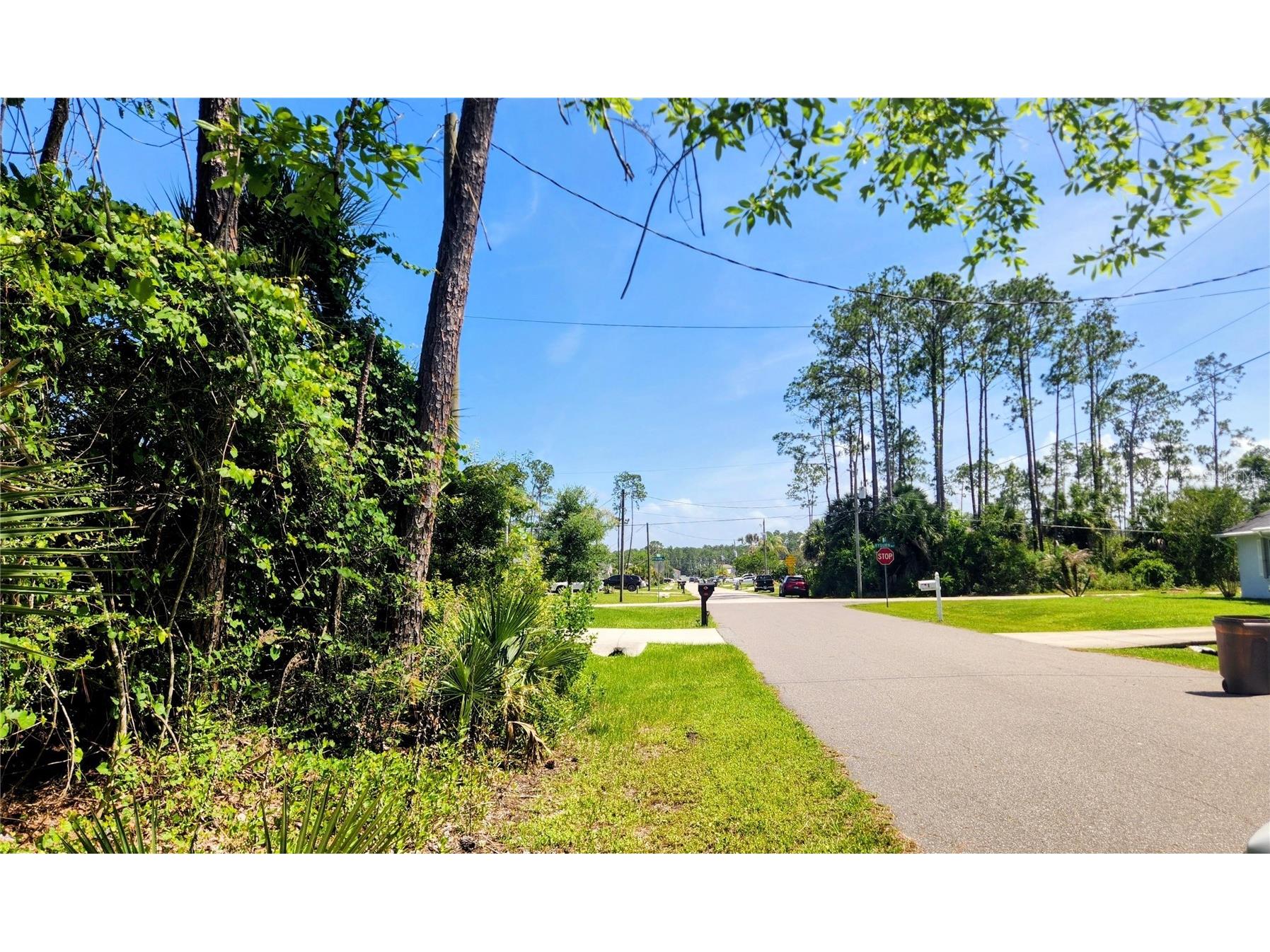 6 Rybar Place Palm Coast FL 32164 FC318786 image5