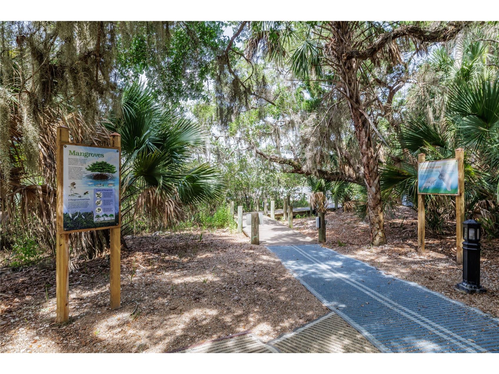 6 San Miguel Court Palm Coast FL 32137 FC318865 image50