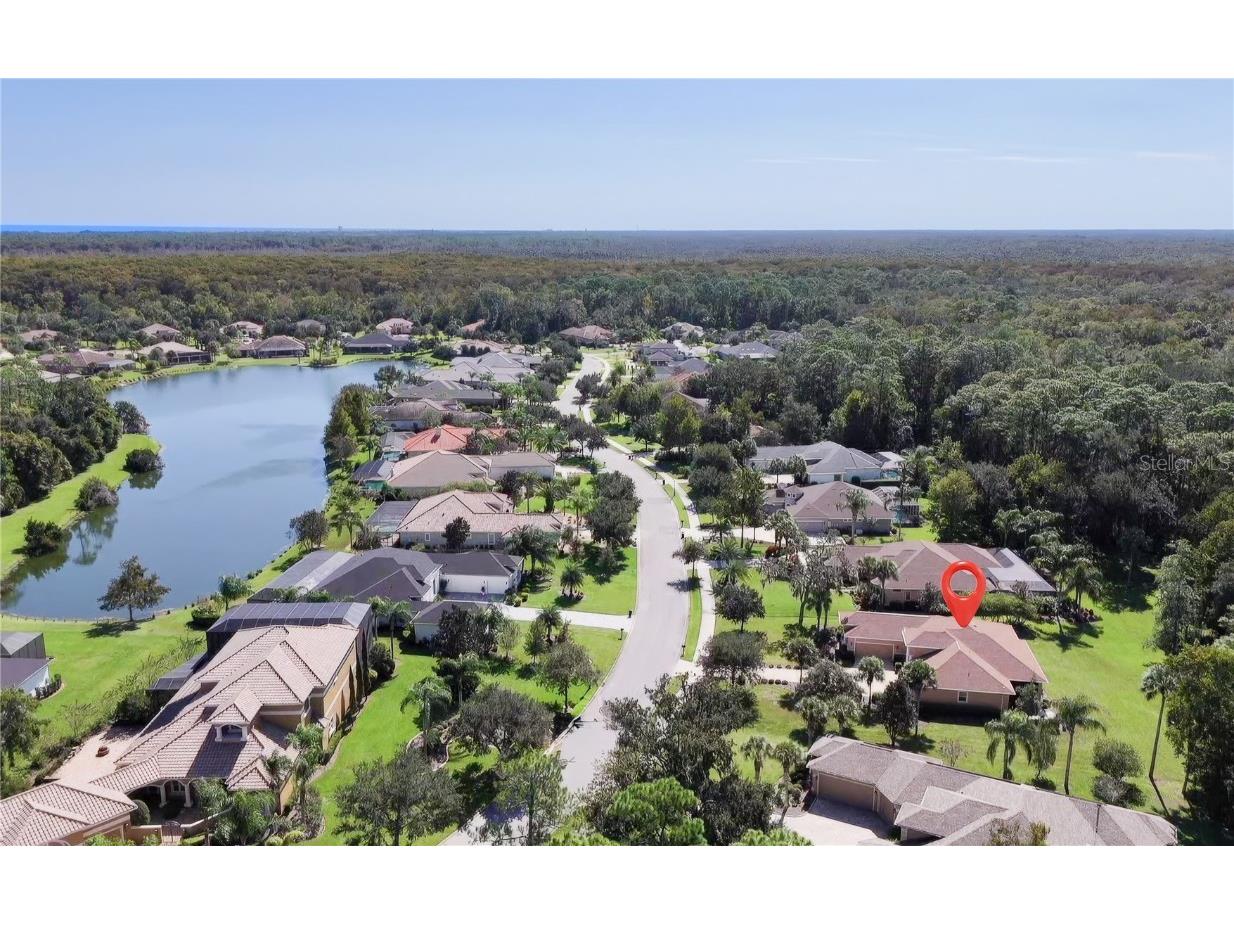 6 Scarlet Oak Circle Palm Coast FL 32137 FC312207 image35