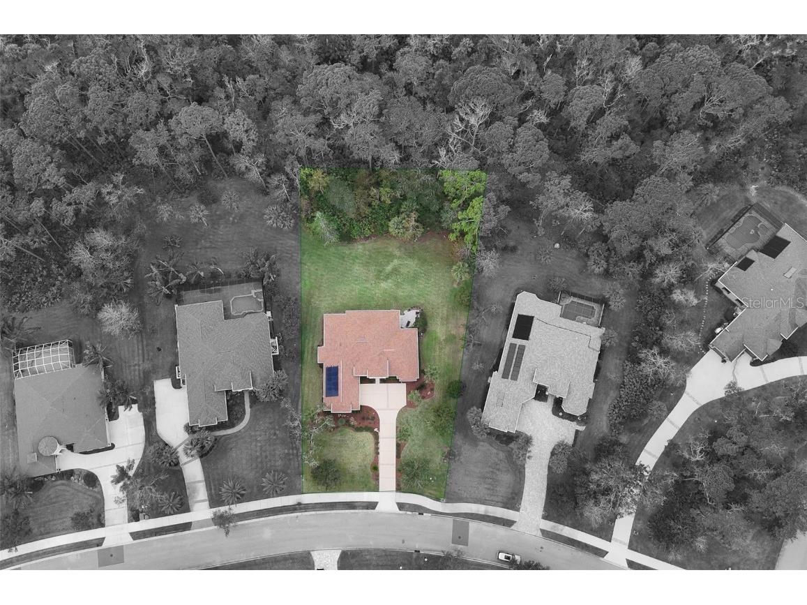 6 Scarlet Oak Circle Palm Coast FL 32137 FC312207 image37