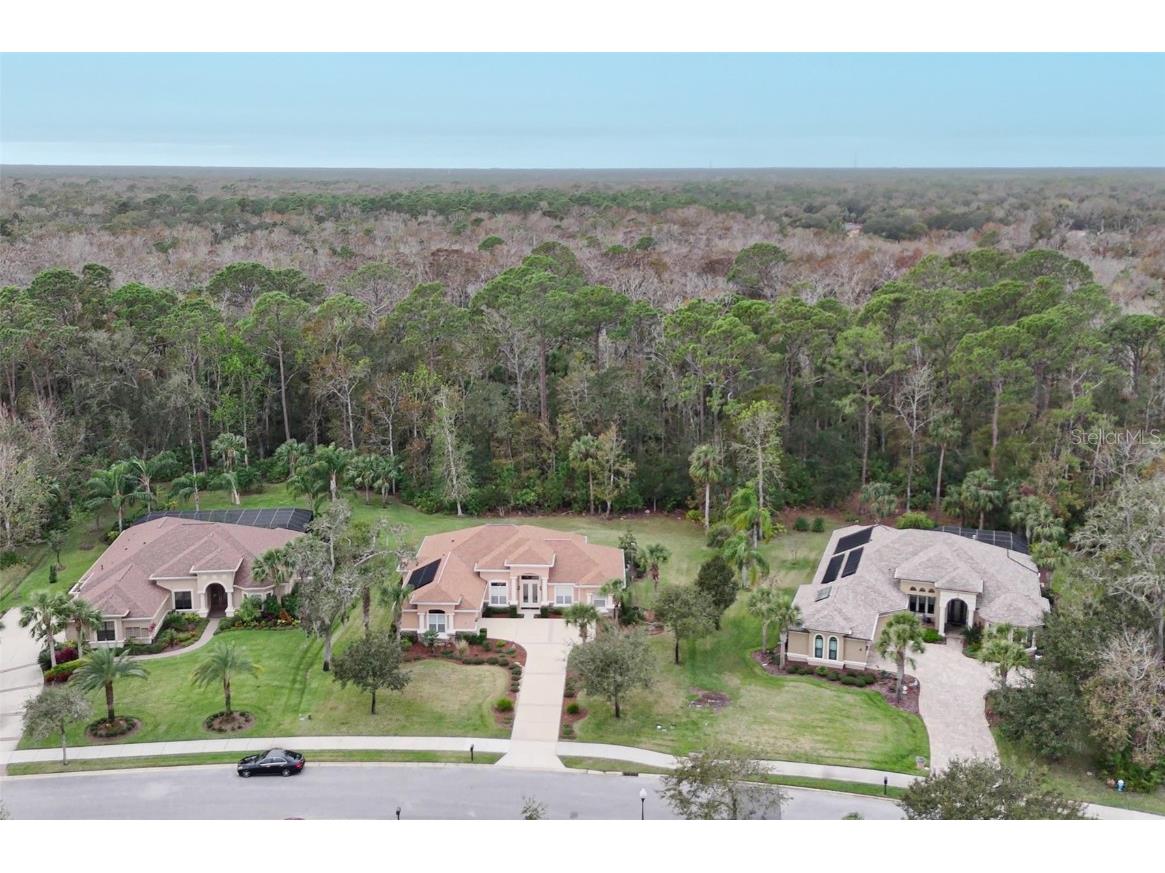 6 Scarlet Oak Circle Palm Coast FL 32137 FC312207 image39