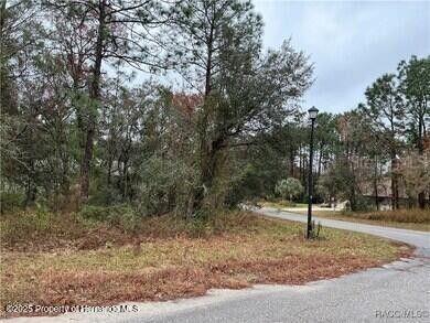 6 Shamrock Court Homosassa FL 34446 W7877993 image1