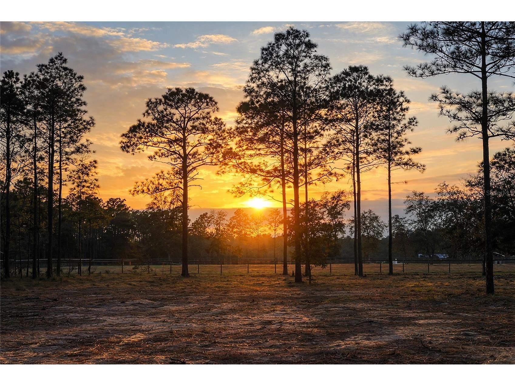 6 SW Lombardy Lane Dunnellon FL 34431 OM719826 image1