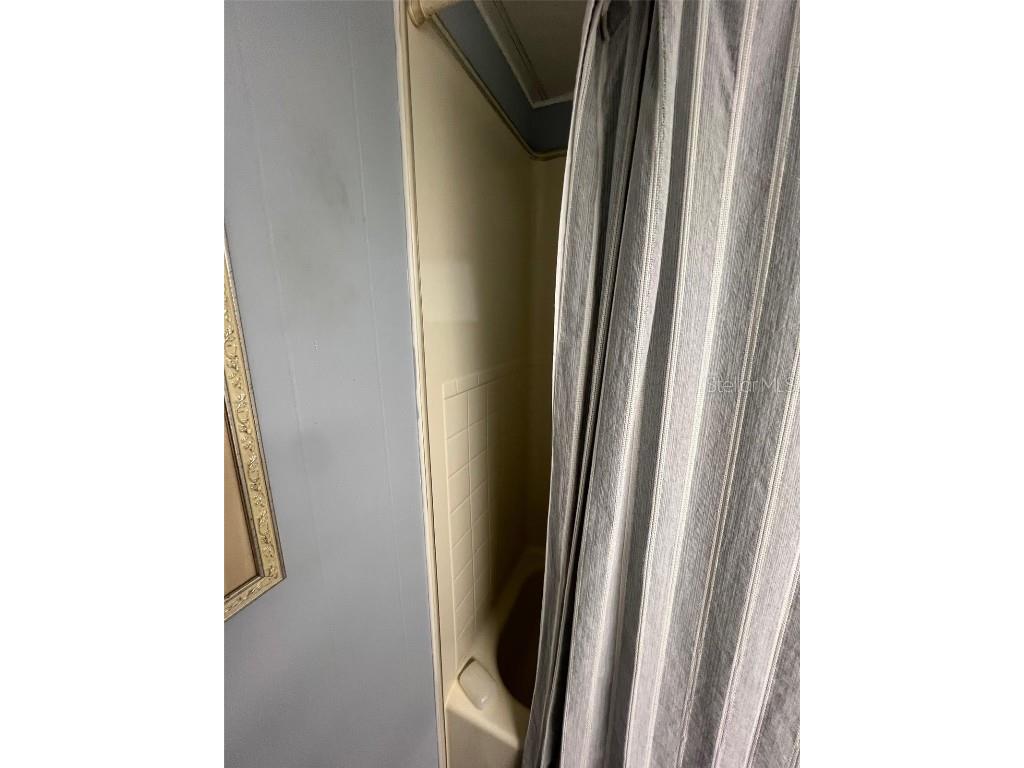 6 Thatch Palm Street E Largo FL 33770 TB8354498 image29