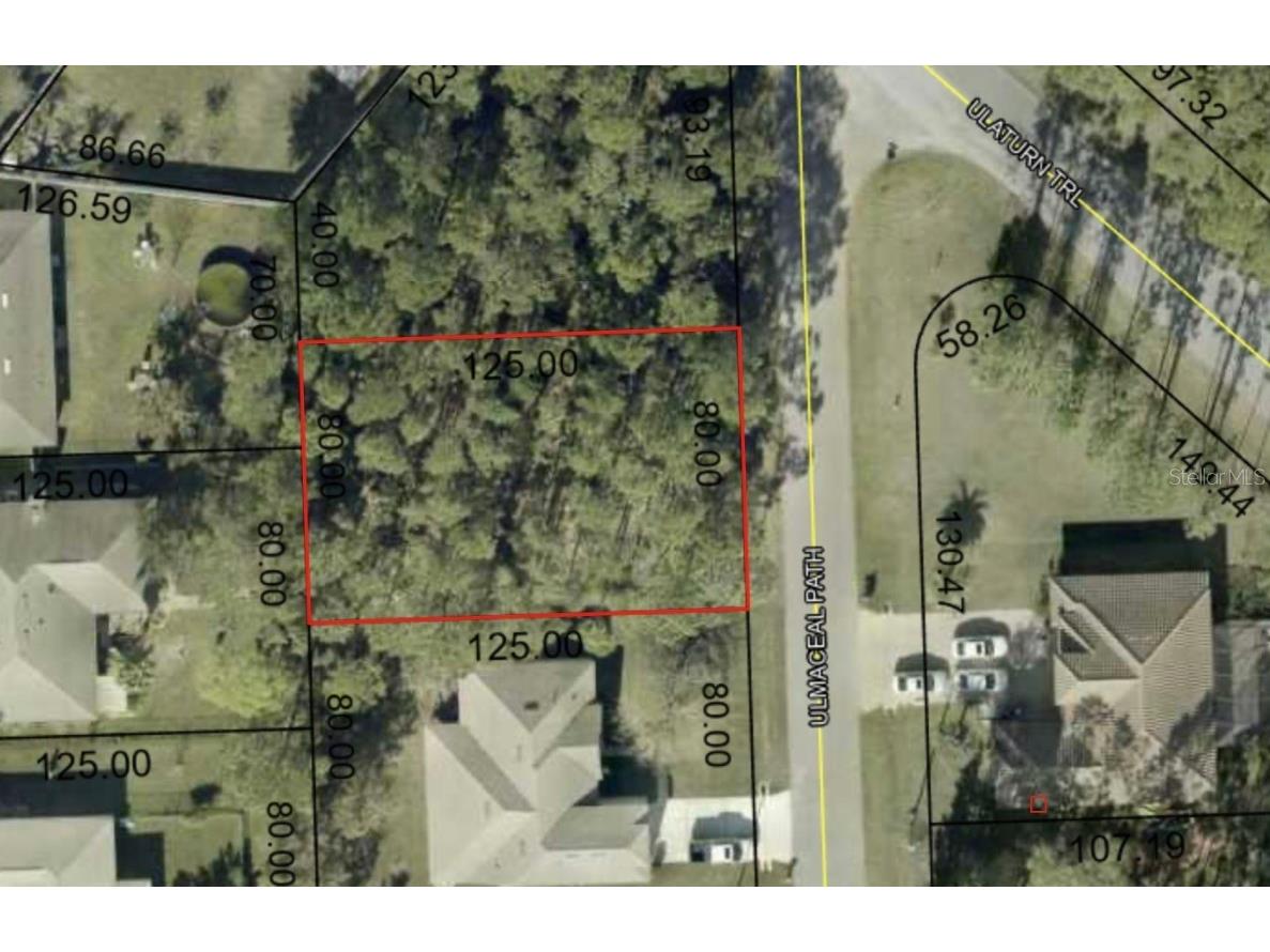 6 Ulmaceal Path Palm Coast FL 32164 V4943008 image1