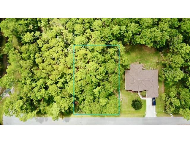 6 Undermount Path W Palm Coast FL 32164 FC303492 image1