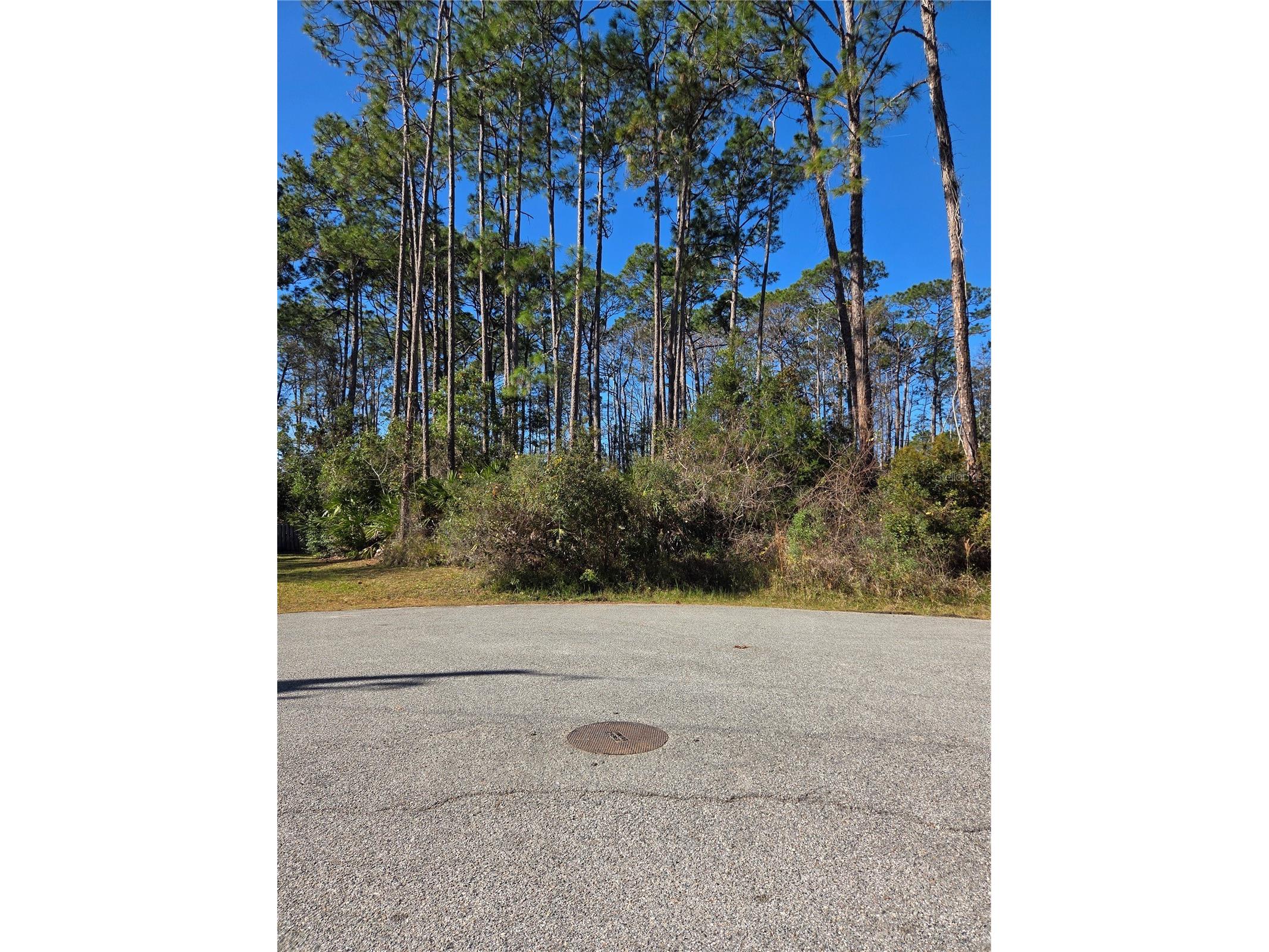 6 Uturn Court Palm Coast FL 32164 FC315571 image1