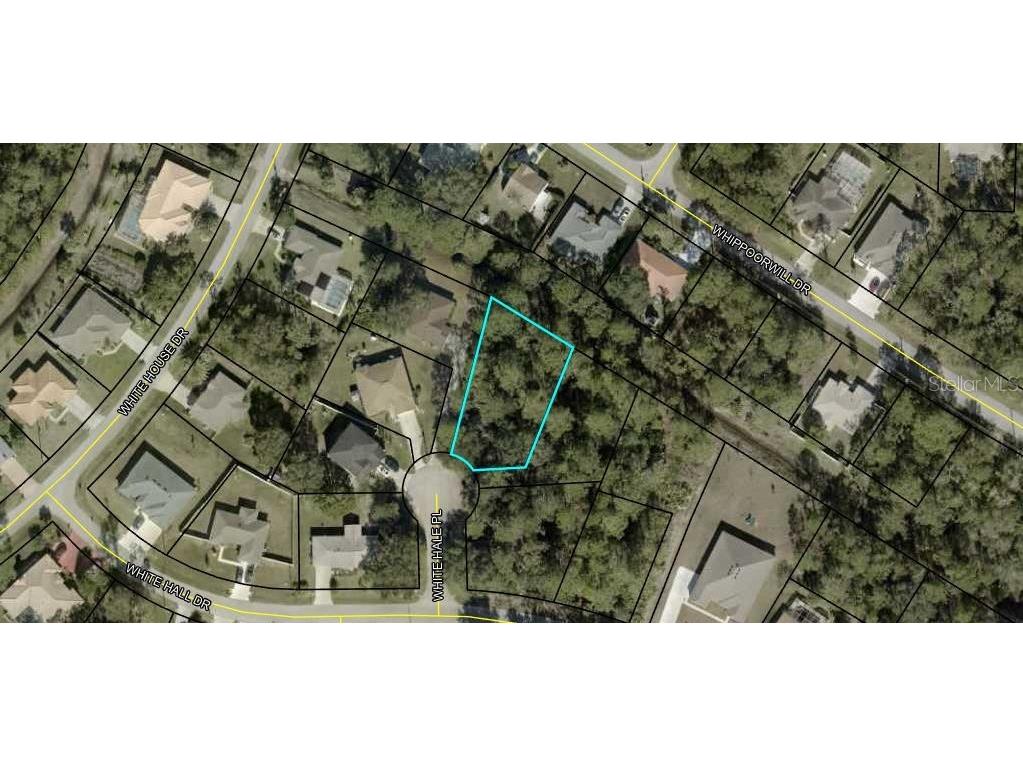 6 White Hale Place Palm Coast FL 32164 FC296802 image1