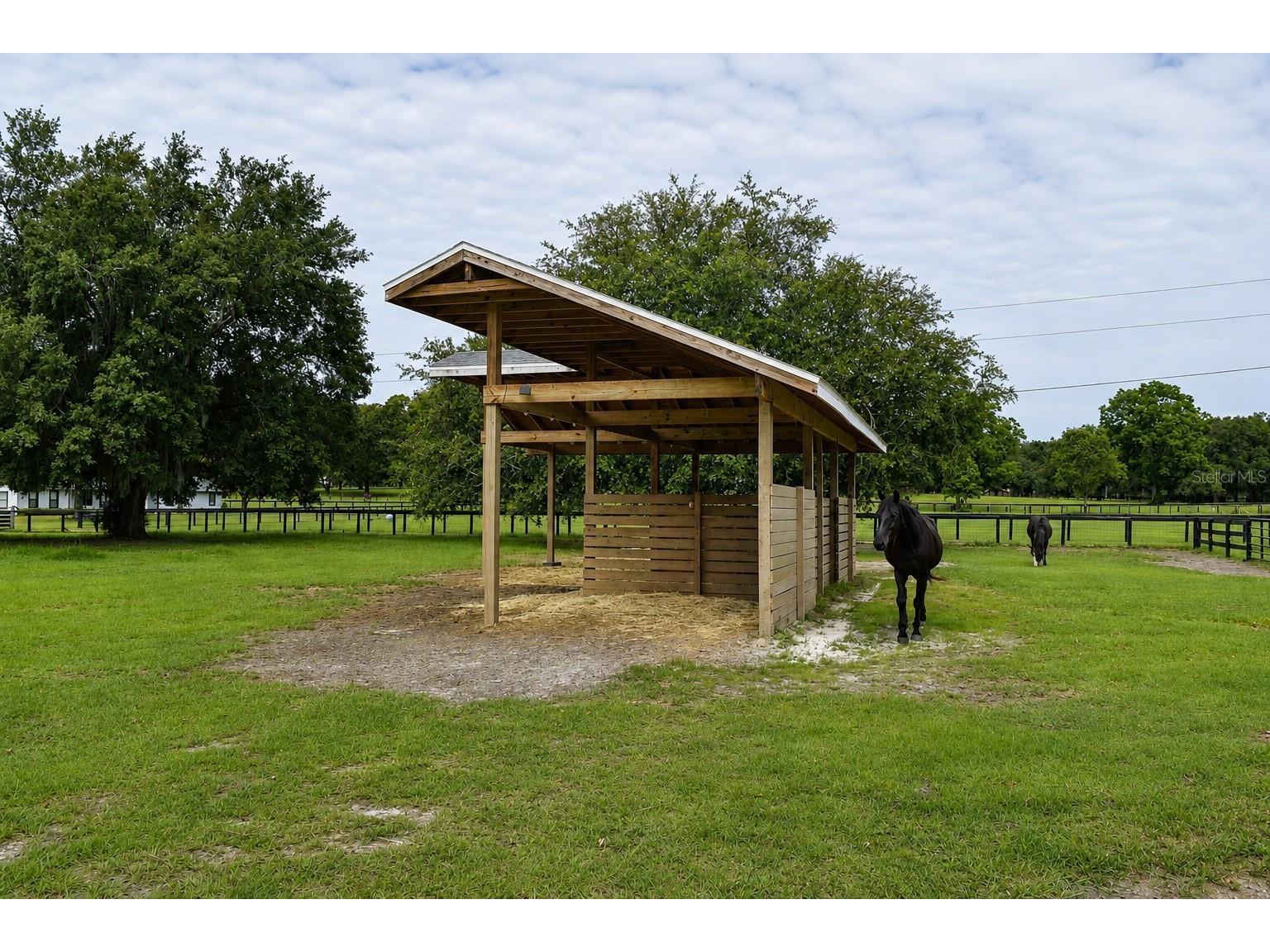 6 Wintergreen Way Ocala FL 34482 OM726286 image13