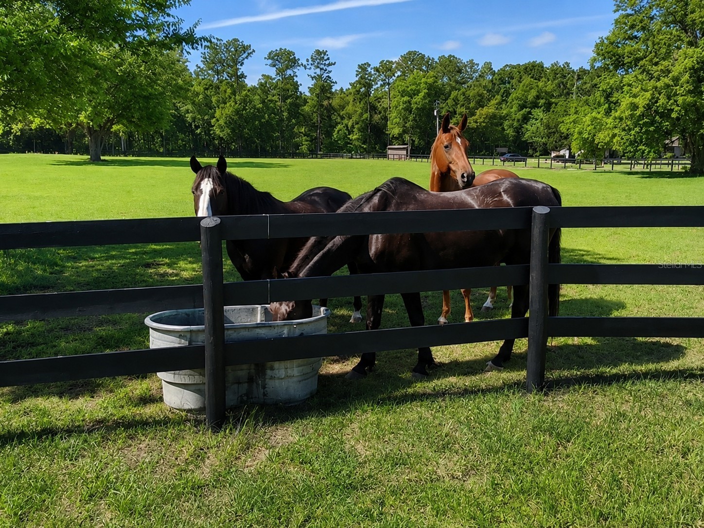 6 Wintergreen Way Ocala FL 34482 OM726286 image14