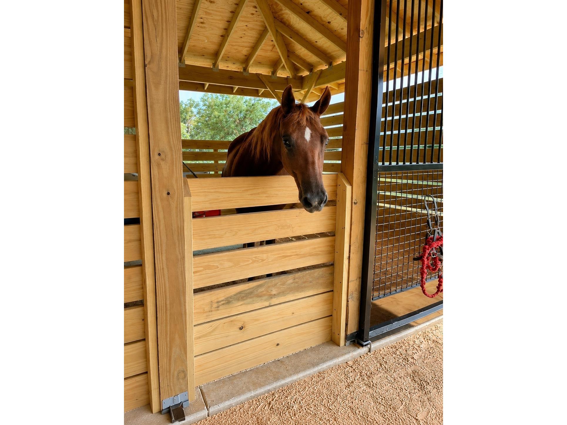 6 Wintergreen Way Ocala FL 34482 OM726286 image17