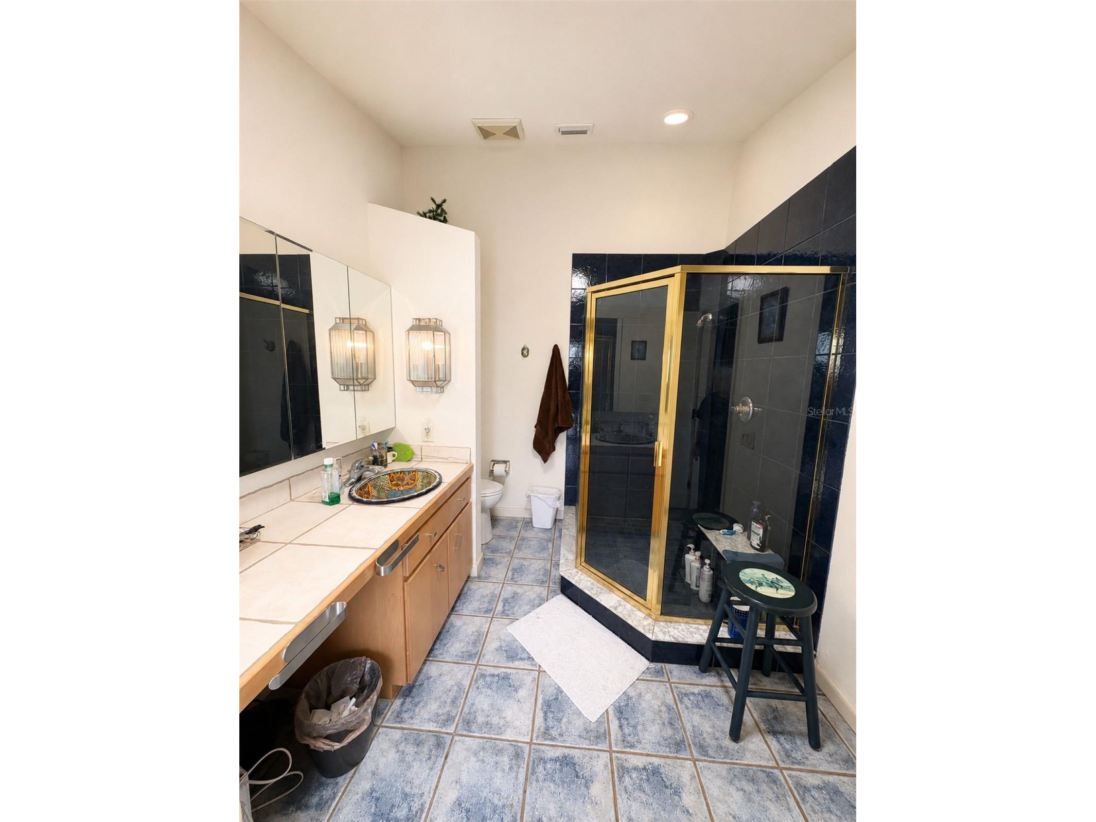 6 Wintergreen Way Ocala FL 34482 OM726286 image30