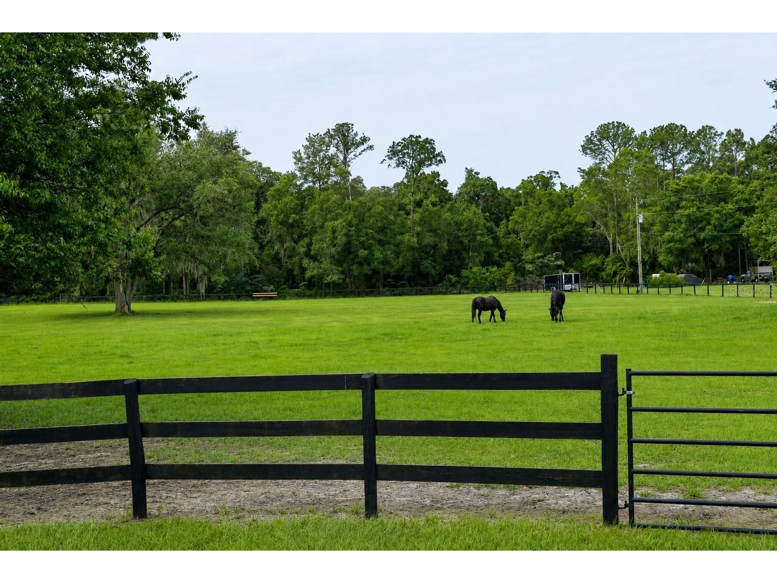 6 Wintergreen Way Ocala FL 34482 OM726286 image8