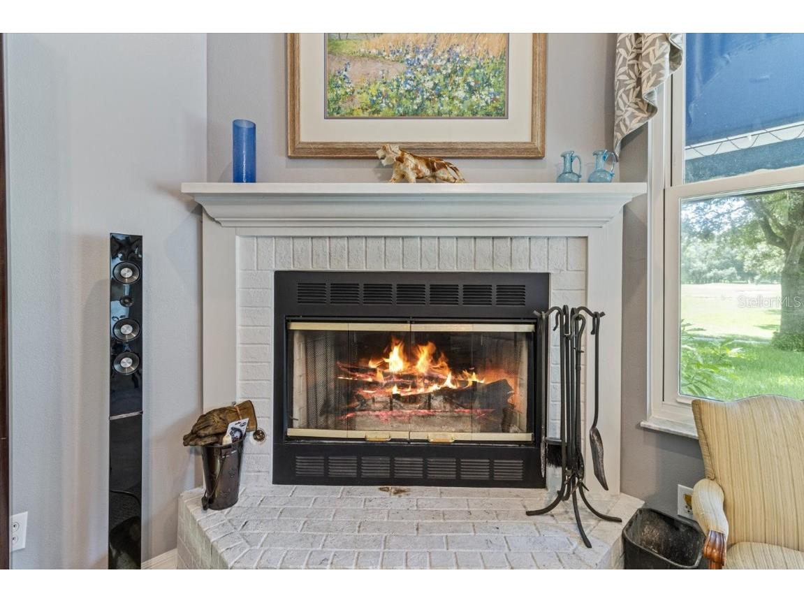 6 Woodlee Court N Homosassa FL 34446 TB8416368 image15