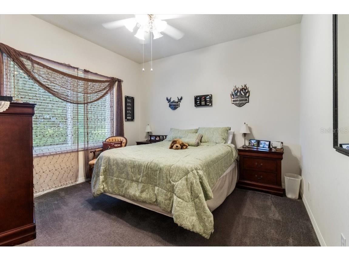 6 Woodlee Court N Homosassa FL 34446 TB8416368 image29