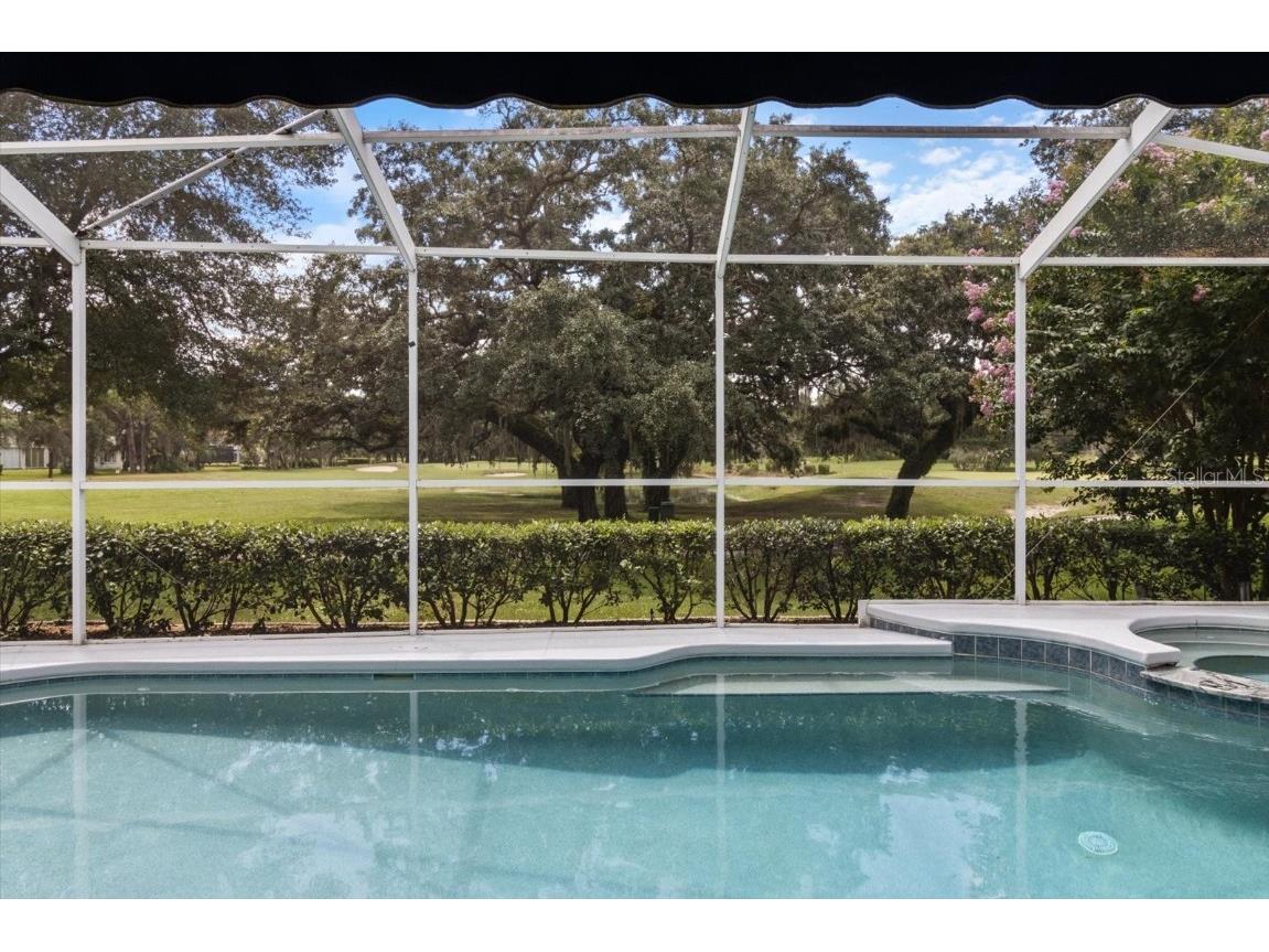 6 Woodlee Court N Homosassa FL 34446 TB8416368 image41