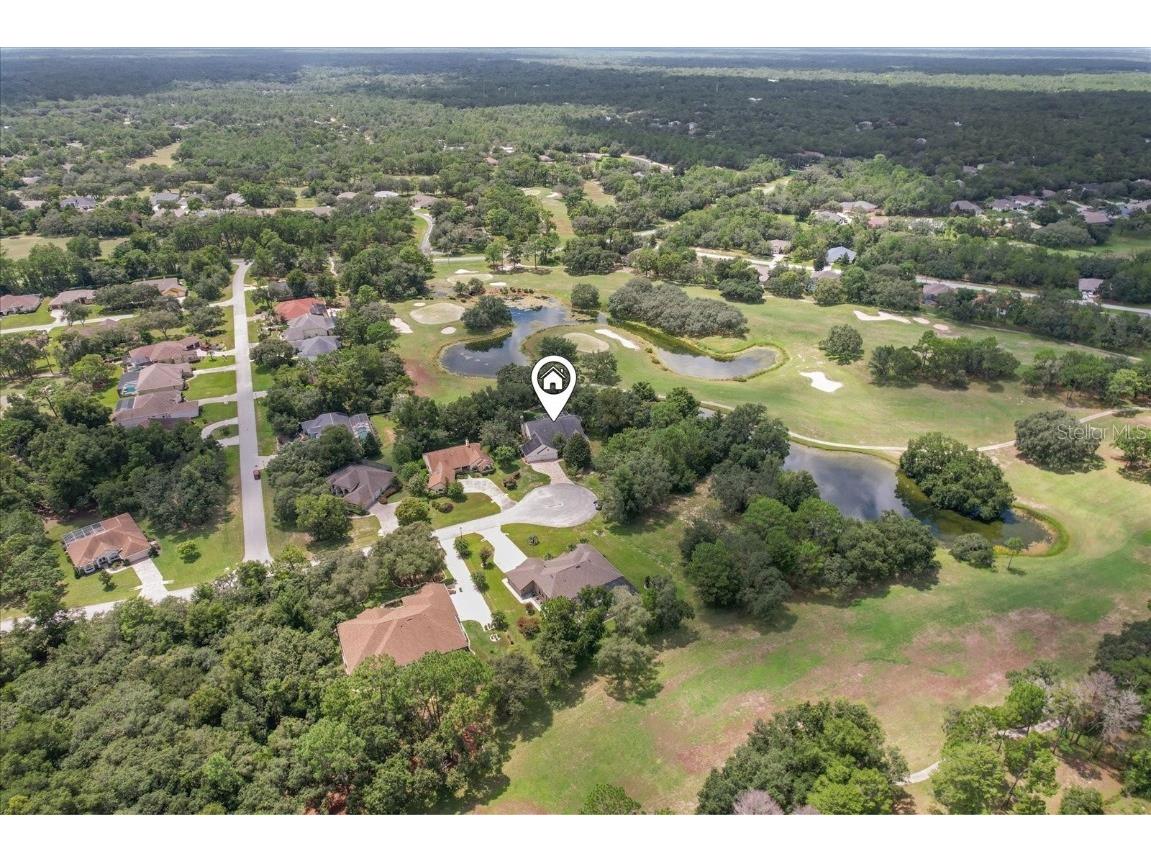 6 Woodlee Court N Homosassa FL 34446 TB8416368 image55