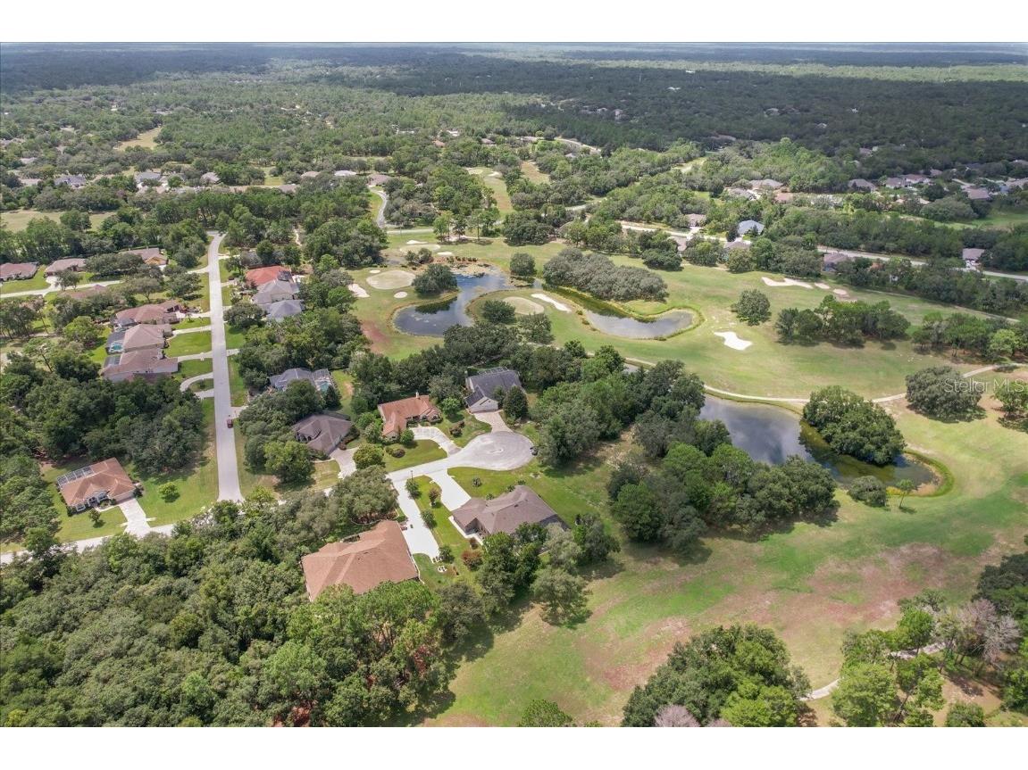 6 Woodlee Court N Homosassa FL 34446 TB8416368 image56