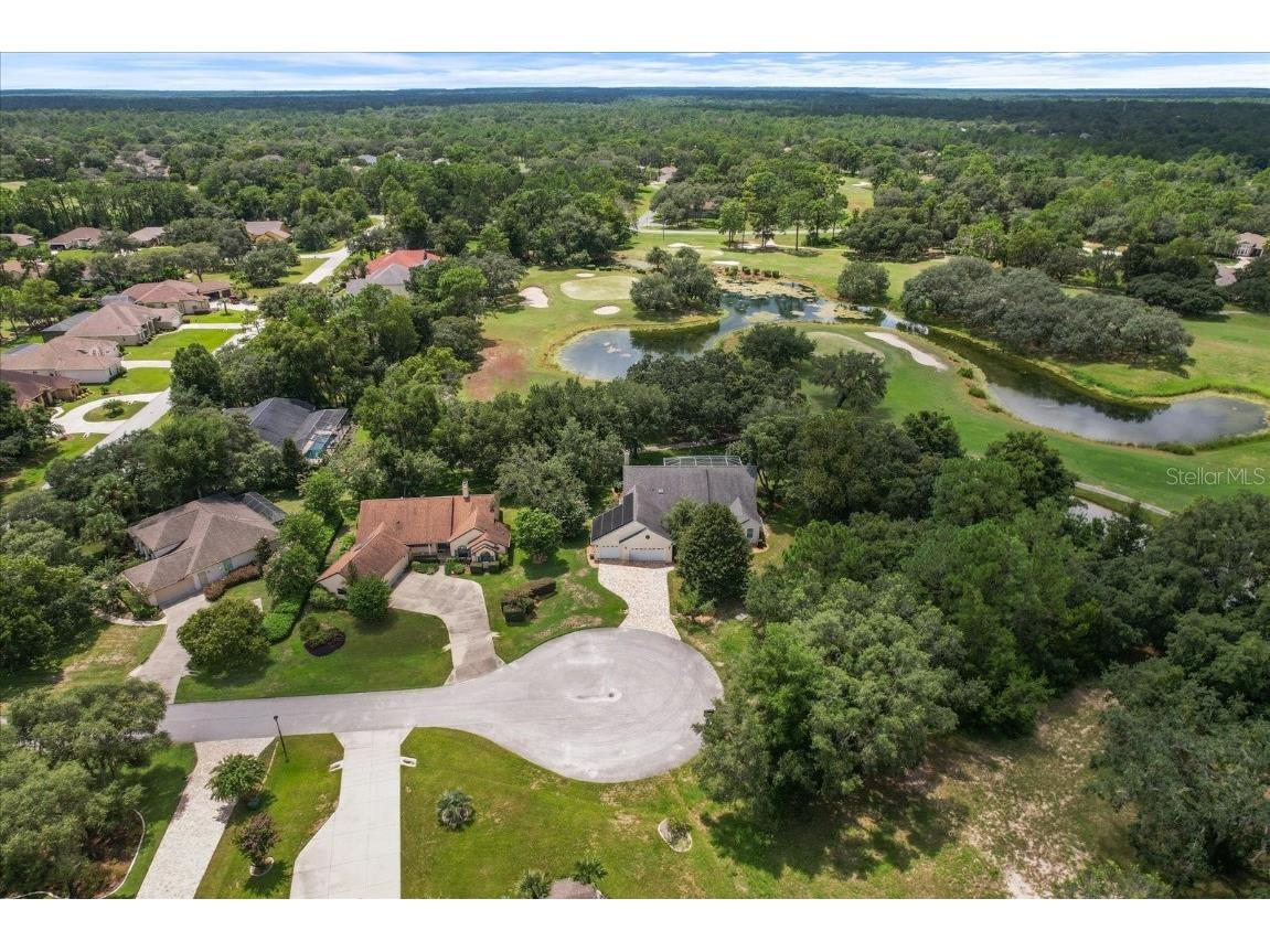 6 Woodlee Court N Homosassa FL 34446 TB8416368 image57