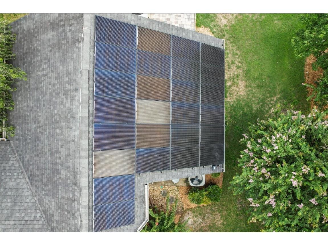 6 Woodlee Court N Homosassa FL 34446 TB8416368 image60