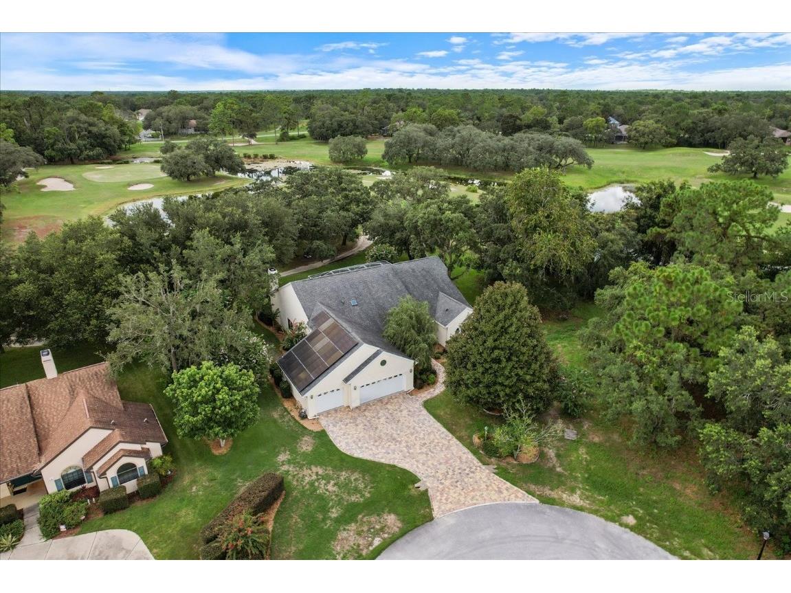 6 Woodlee Court N Homosassa FL 34446 TB8416368 image62