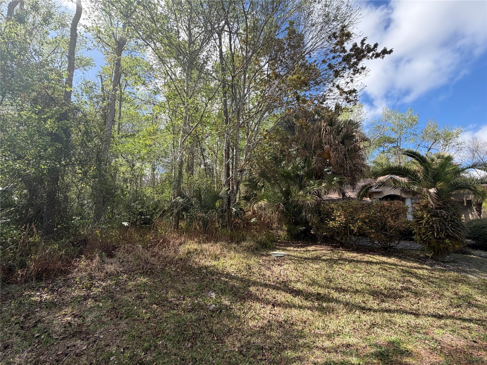 6 Zeppelin Court Palm Coast FL 32164 O6387152 image3