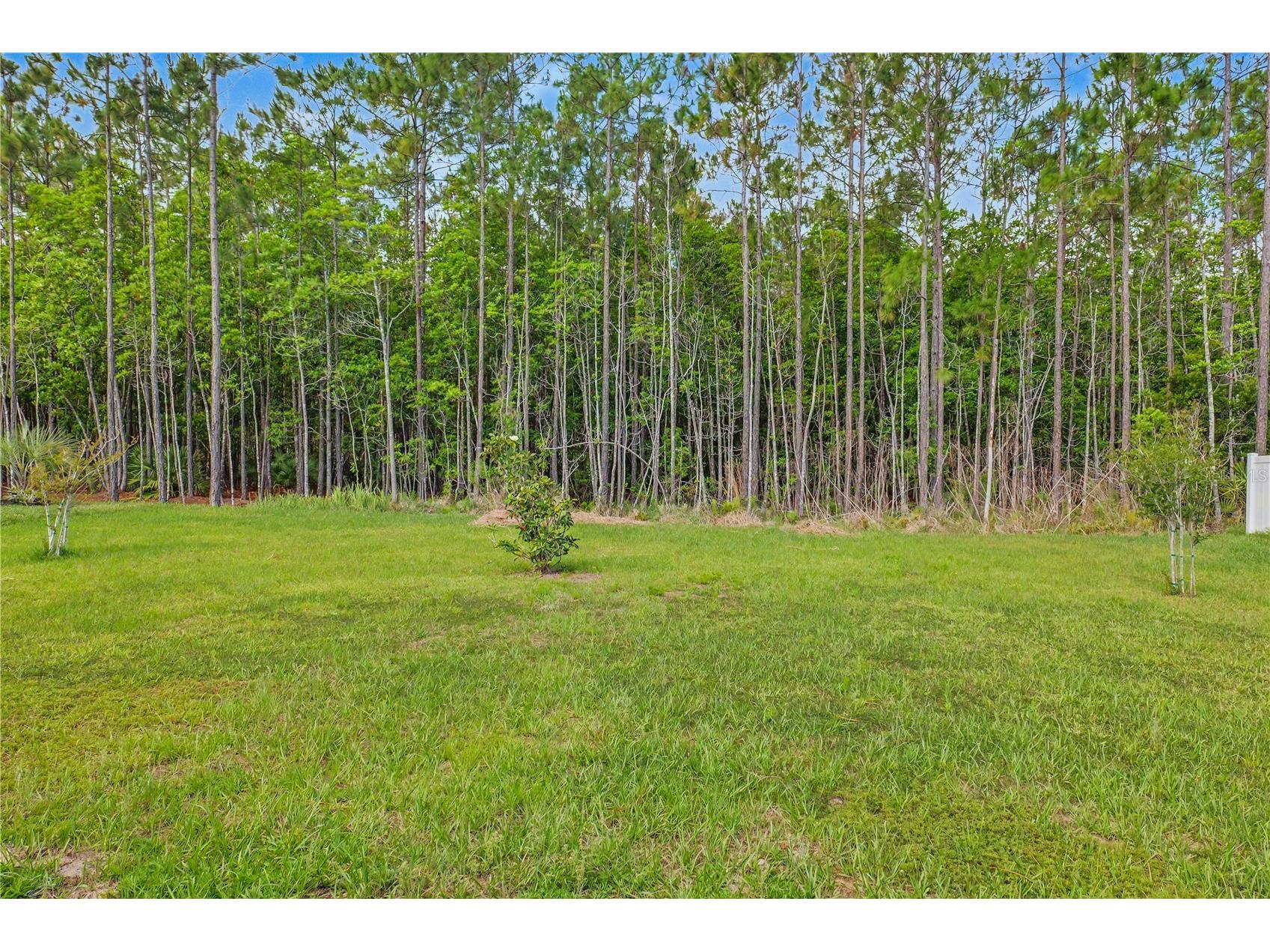 6 Zinnia Court Palm Coast FL 32164 FC318328 image24