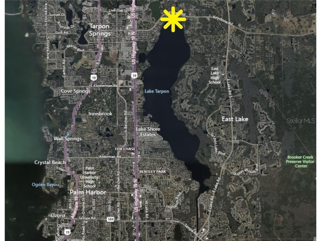 60 72 84 96 Burton Place Tarpon Springs FL 34688 - LAKE TARPON W7877597 image3
