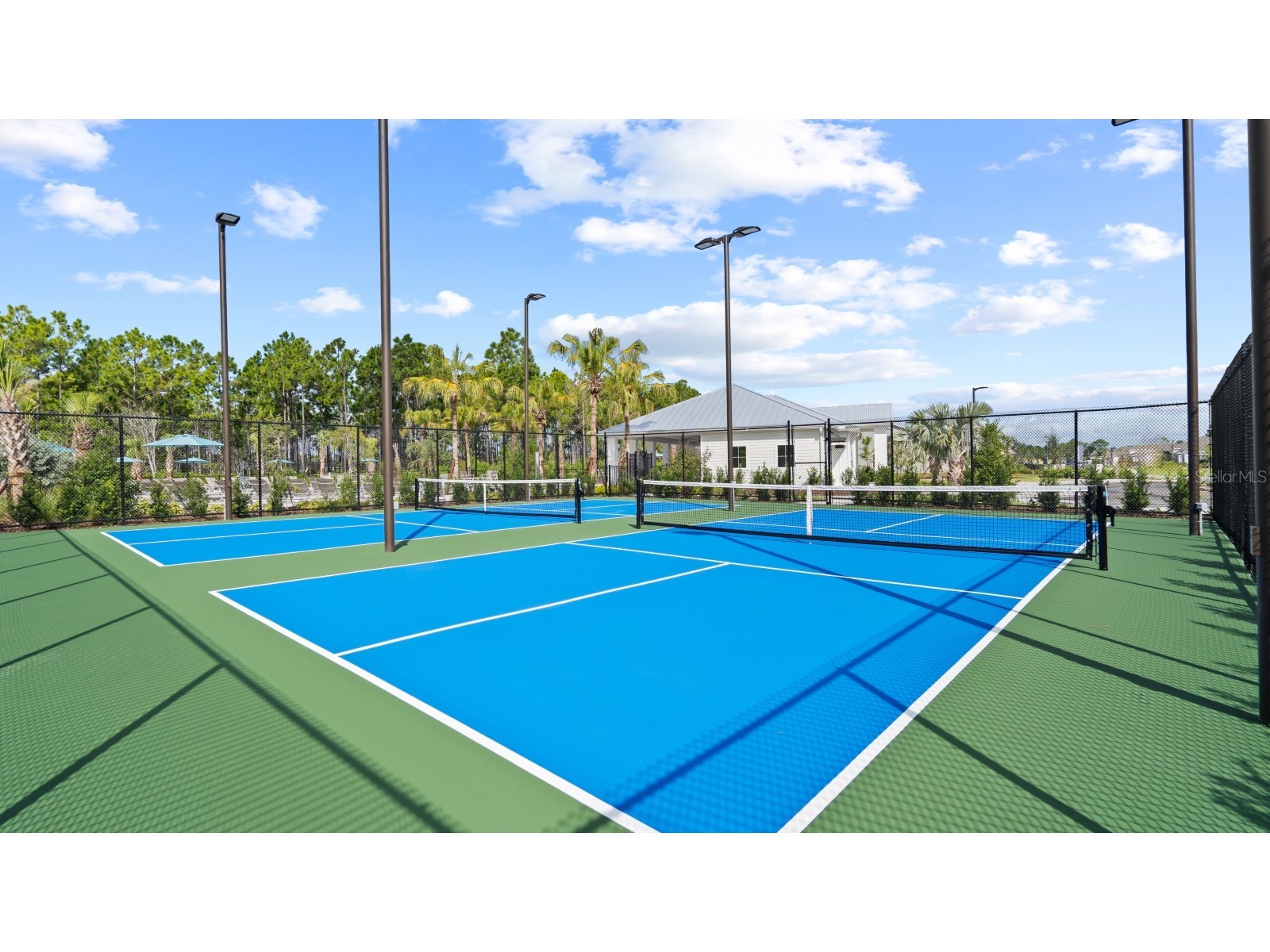 60 Ararat Drive Palm Coast FL 32137 O6365838 image16