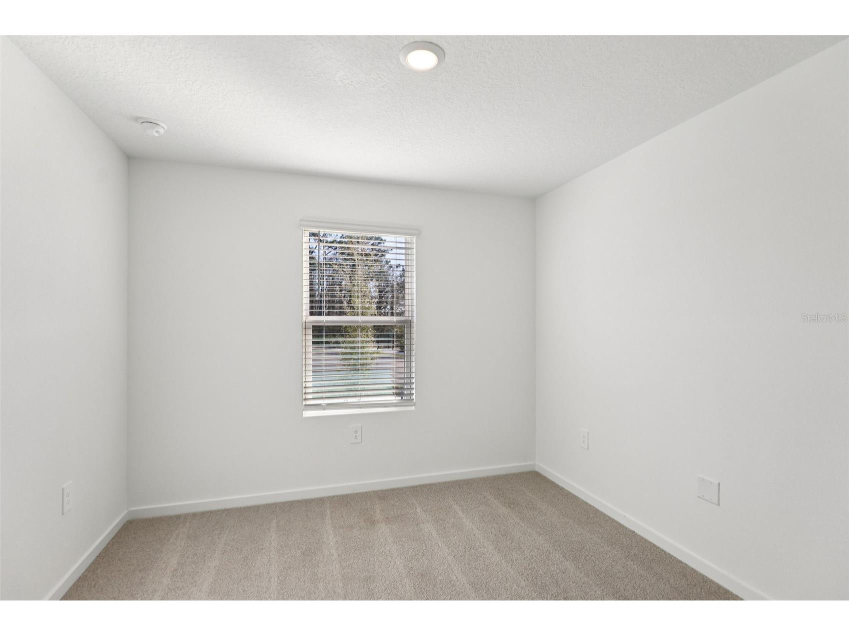 60 Ararat Drive Palm Coast FL 32137 O6365838 image20