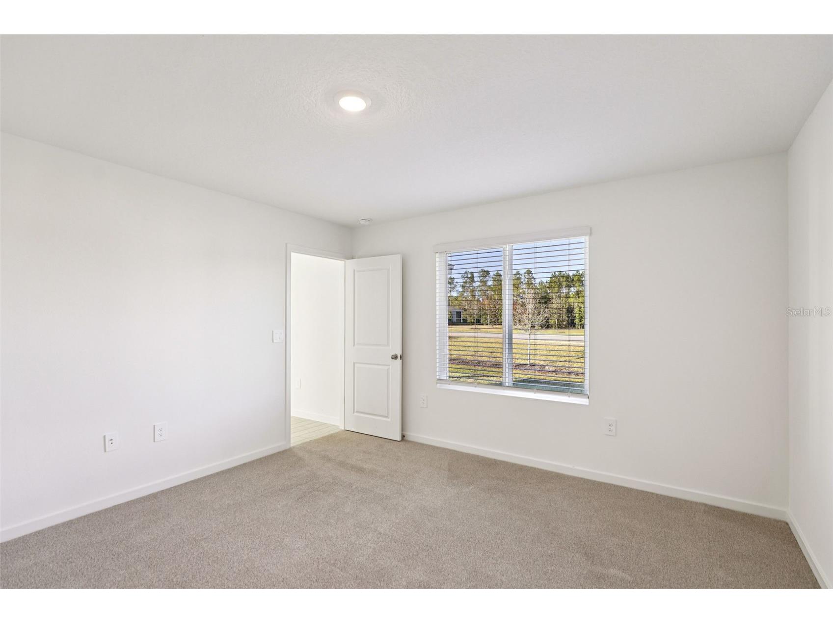 60 Ararat Drive Palm Coast FL 32137 O6365838 image31