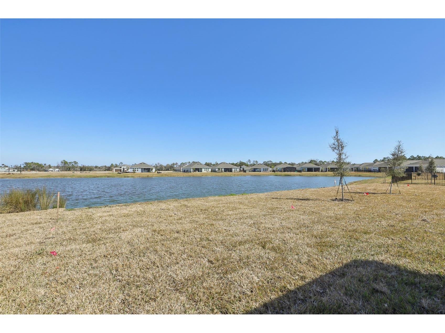 60 Ararat Drive Palm Coast FL 32137 O6365838 image37