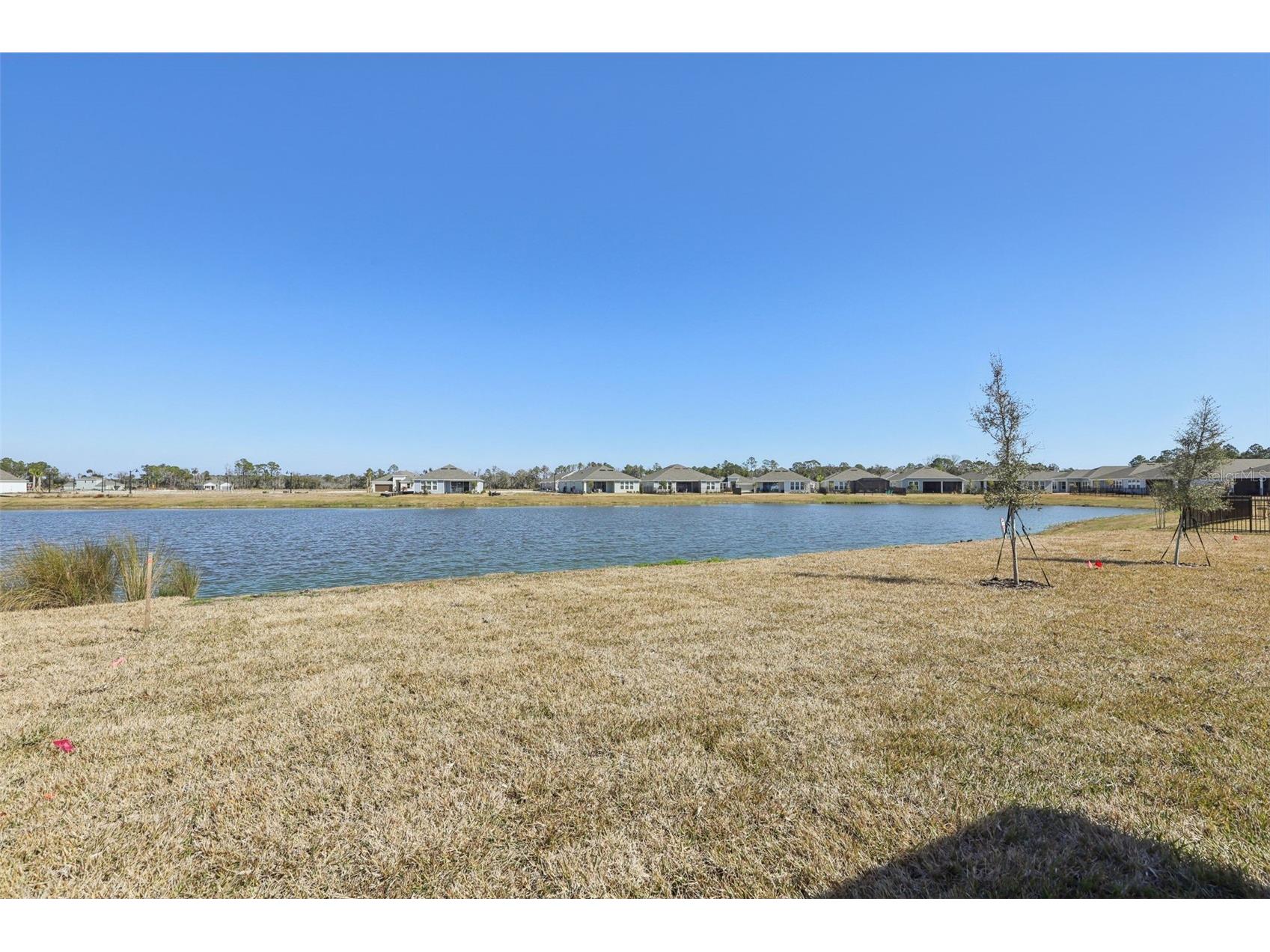 60 Ararat Drive Palm Coast FL 32137 O6365838 image4