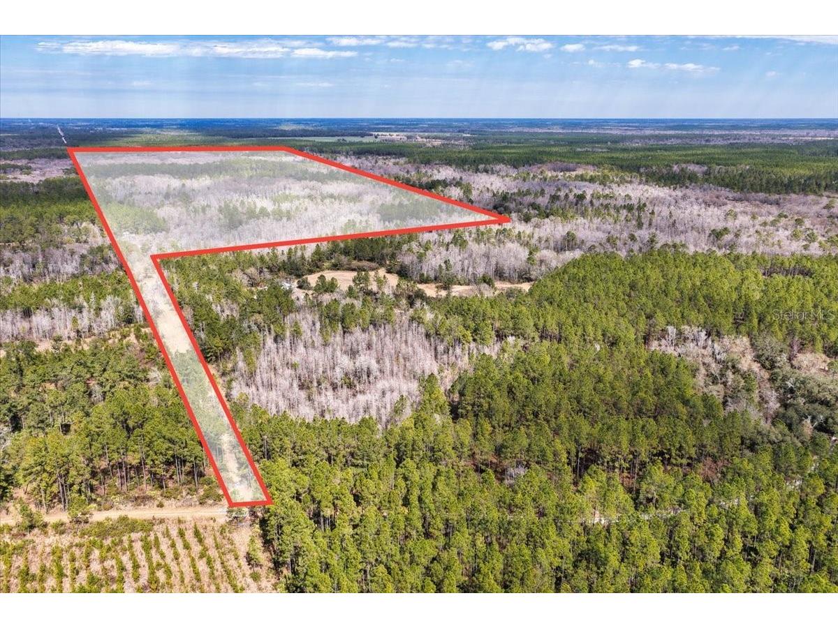 60 Acres NW Clyatt Road Chiefland FL 32626 OM718503 image1